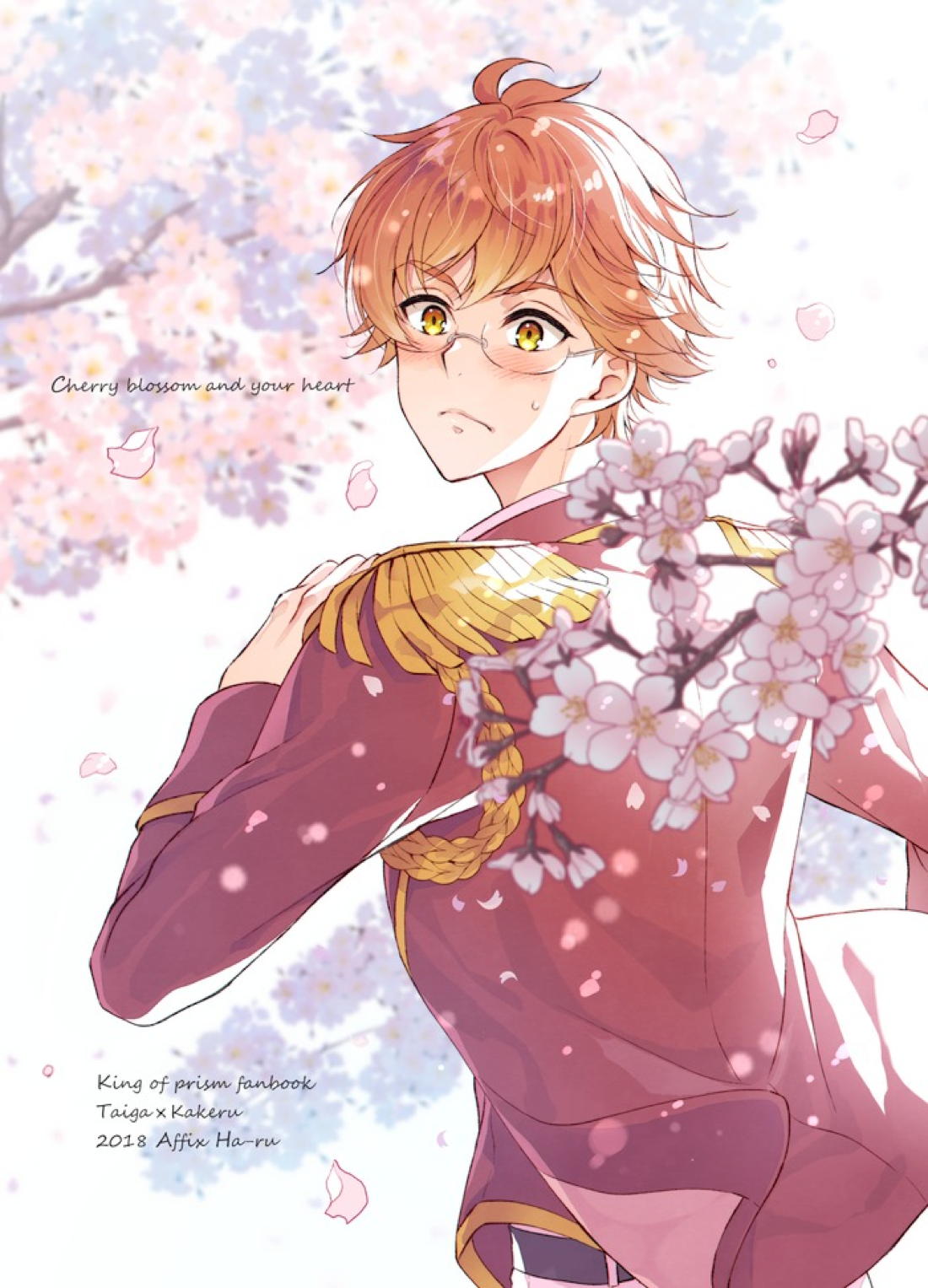 桜の君と恋するハート【KING OF PRISM by PrettyRhythm/タイカケ】 page 28
