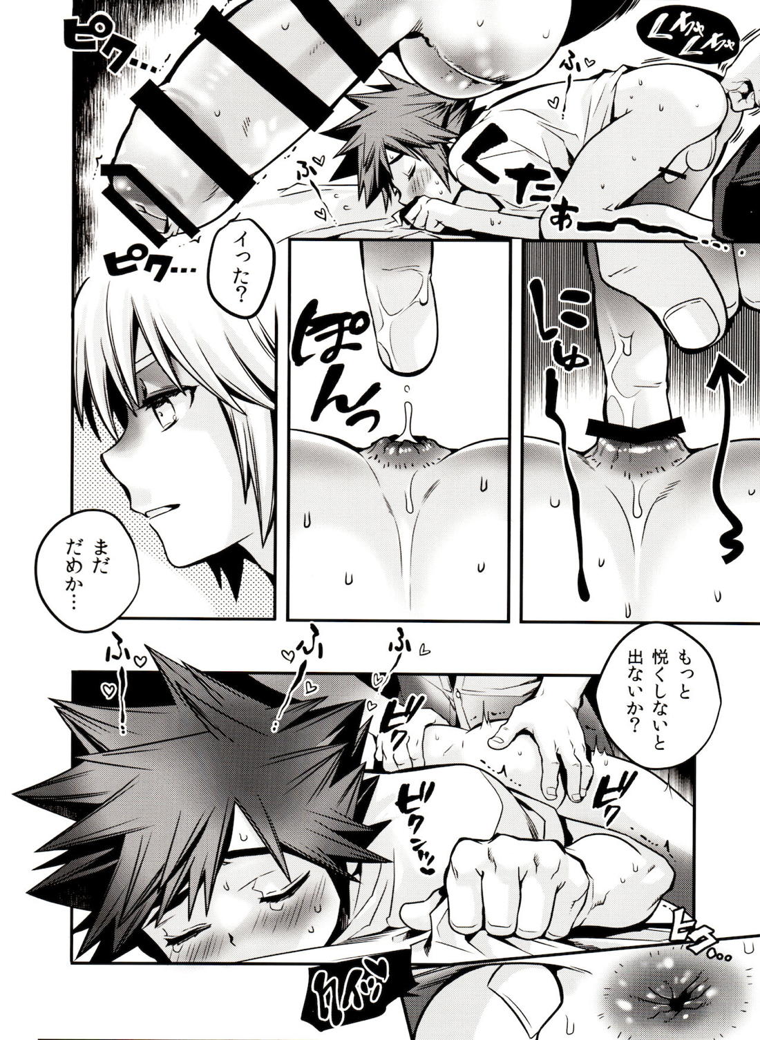 アクロスザボーダーライン【キングダムハーツ】 page 13