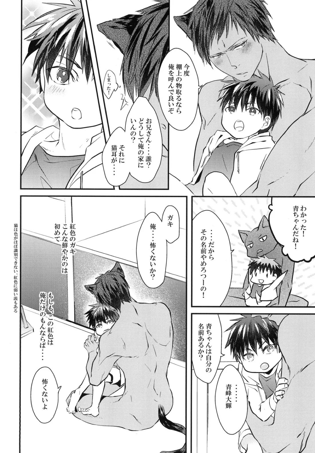 猫にニャンニャン泣かされて【黒子のバスケ/青火】 page 11
