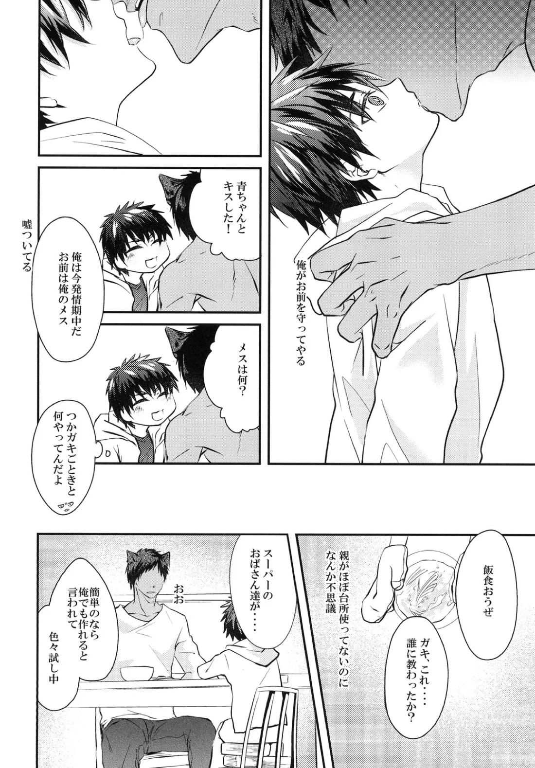 猫にニャンニャン泣かされて【黒子のバスケ/青火】 page 13