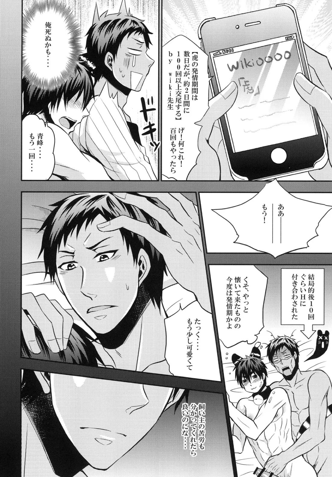 猫にニャンニャン泣かされて【黒子のバスケ/青火】 page 27