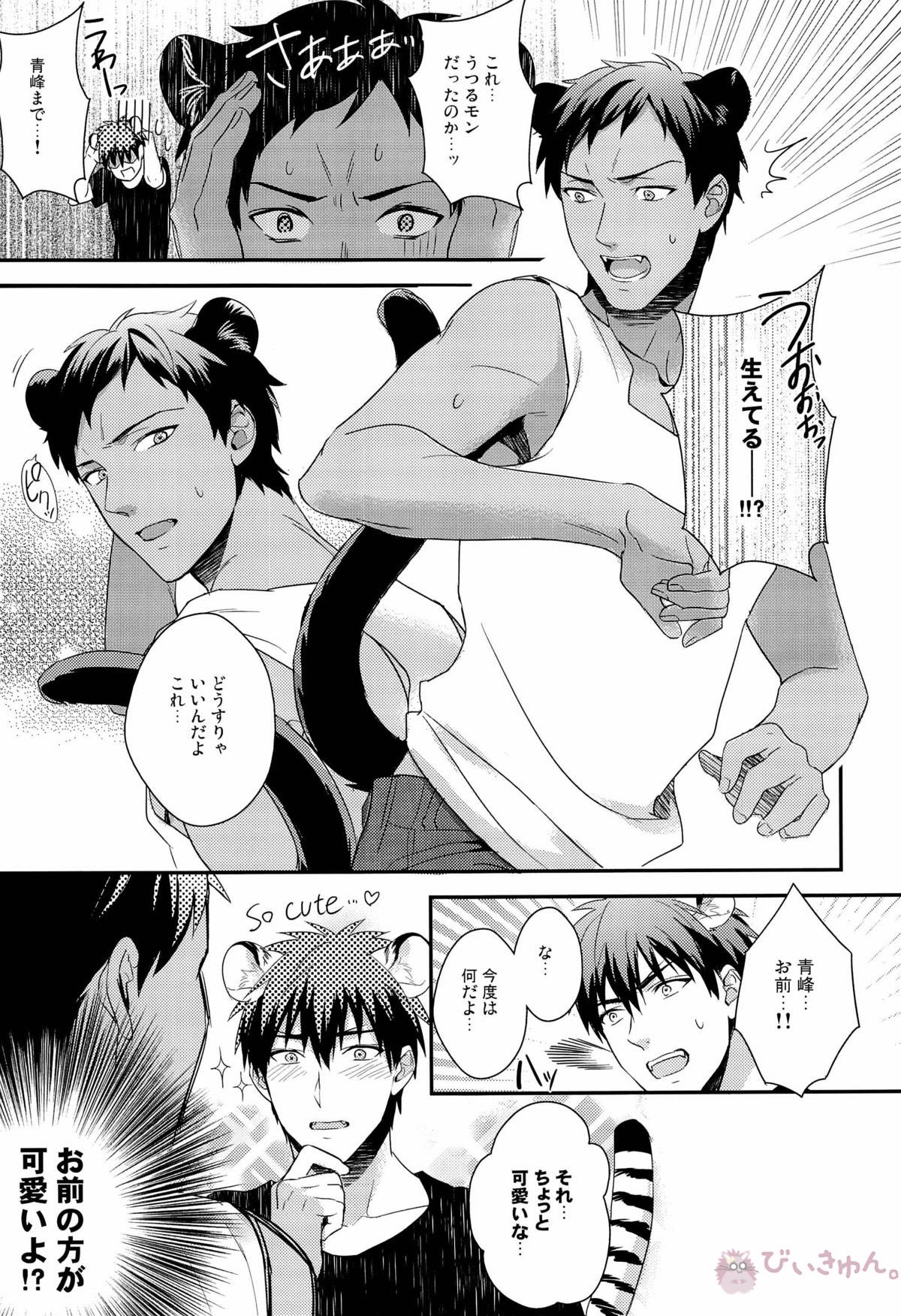 HEY! ANIMAL BOYS!!【黒子のバスケ/青火】 page 11