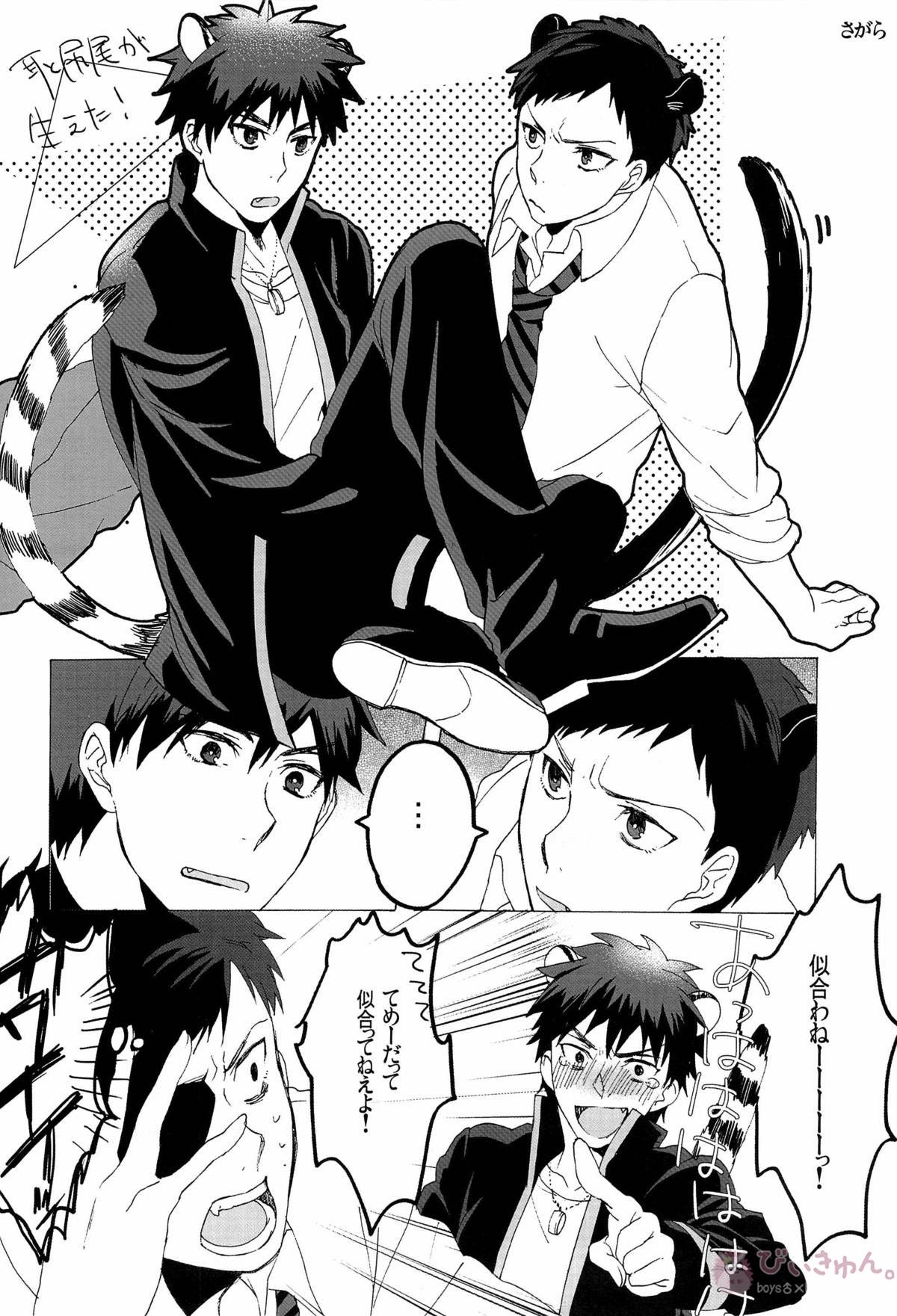 HEY! ANIMAL BOYS!!【黒子のバスケ/青火】 page 26