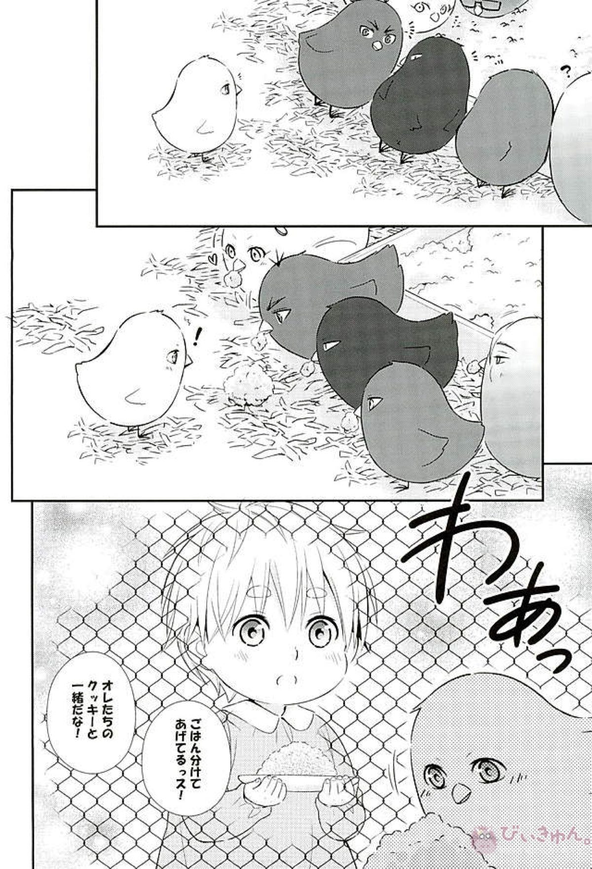 ifの世界 キセキのハロウィン【黒子のバスケ】 page 37