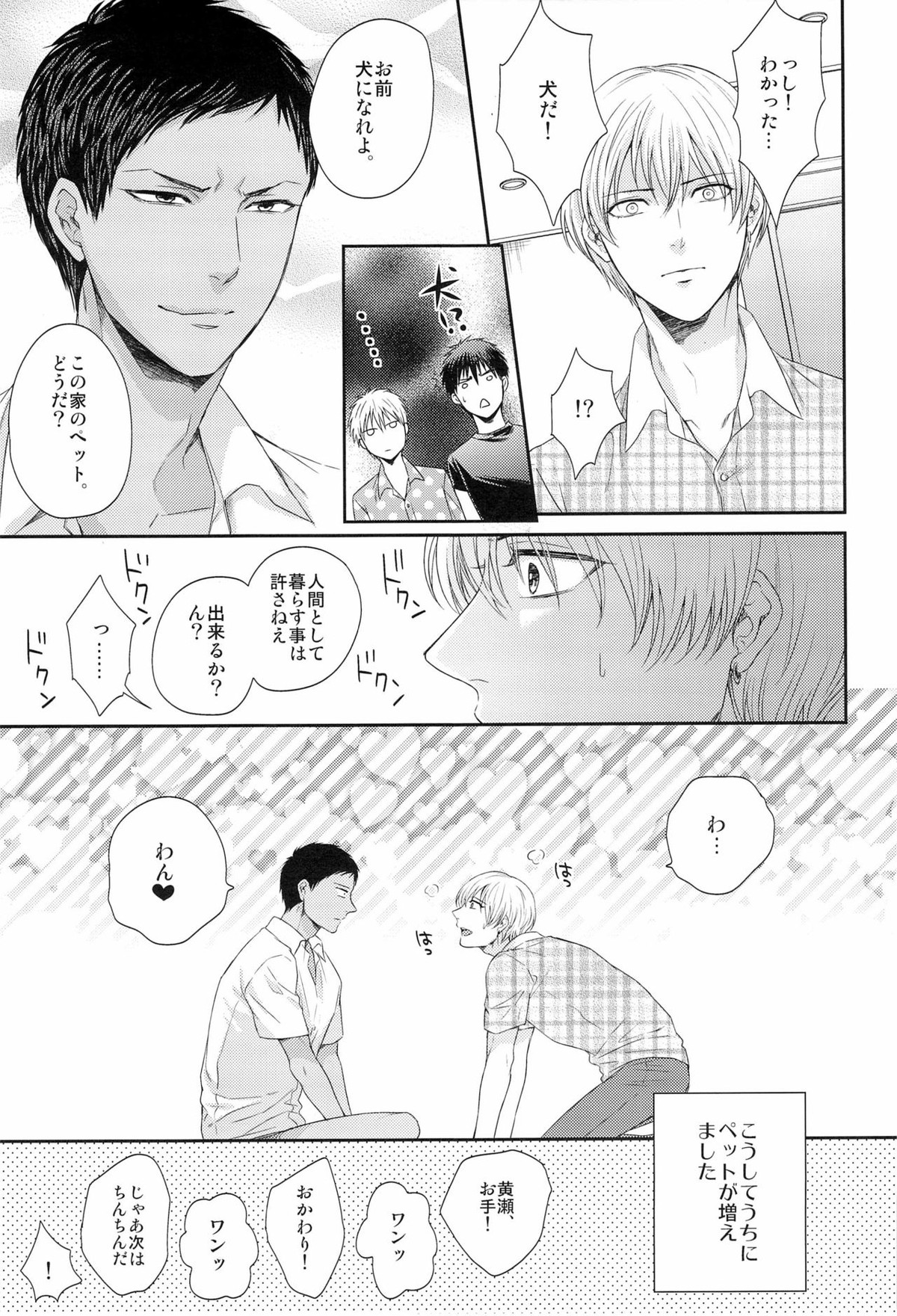 ボクといっしょに暮らしませんか【黒子のバスケ/黒青】 page 15