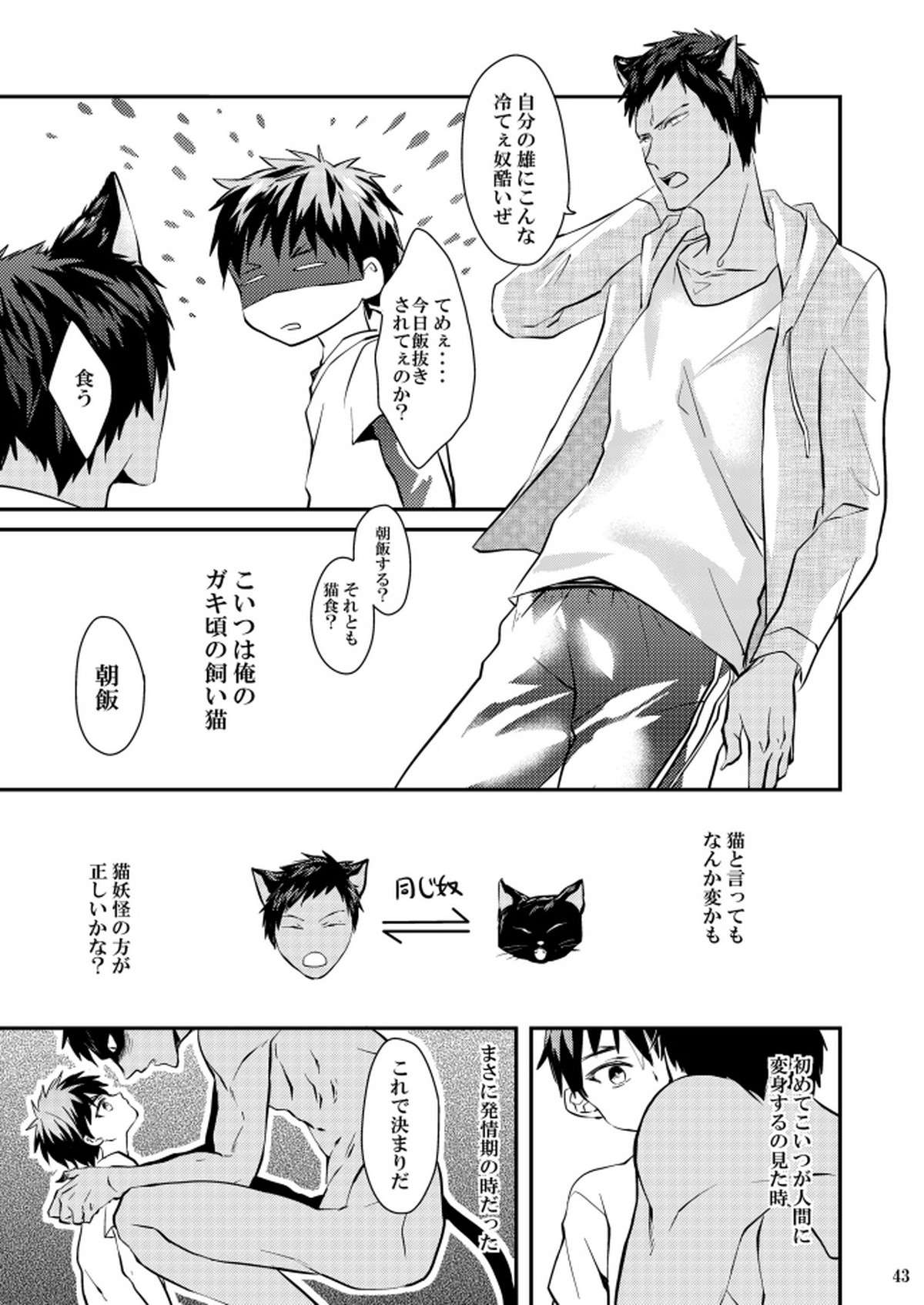 火神君の飼育日記【黒子のバスケ/青火】 page 42