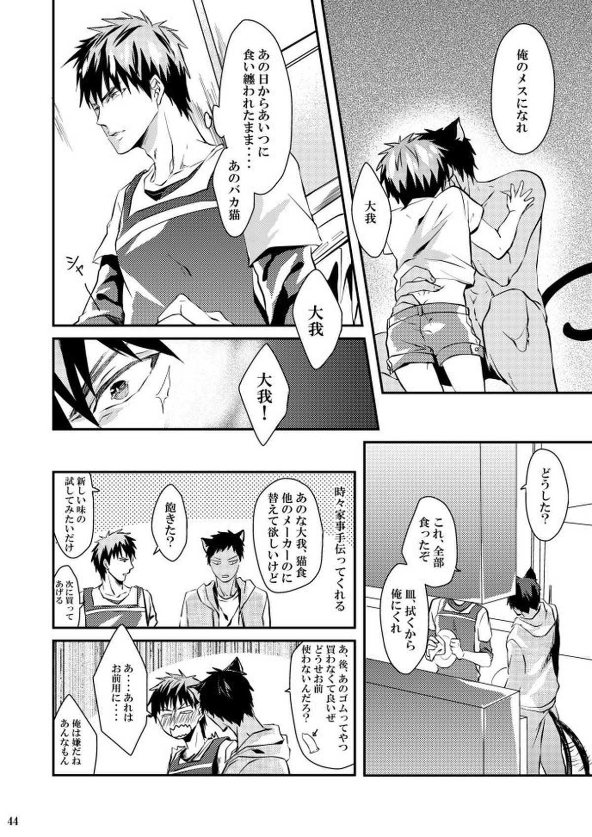 火神君の飼育日記【黒子のバスケ/青火】 page 43