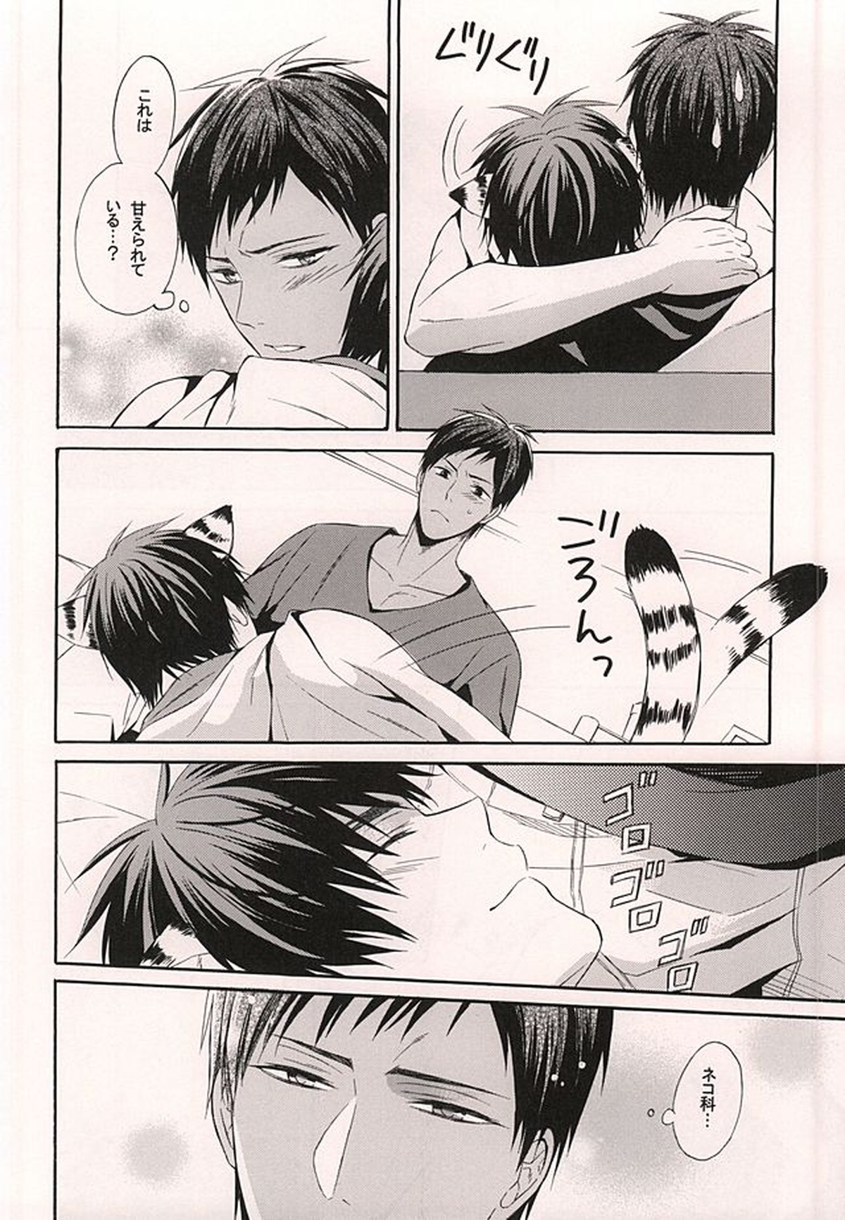 俺の火神がこんなに可愛いわけがない【黒子のバスケ/青火】 page 11