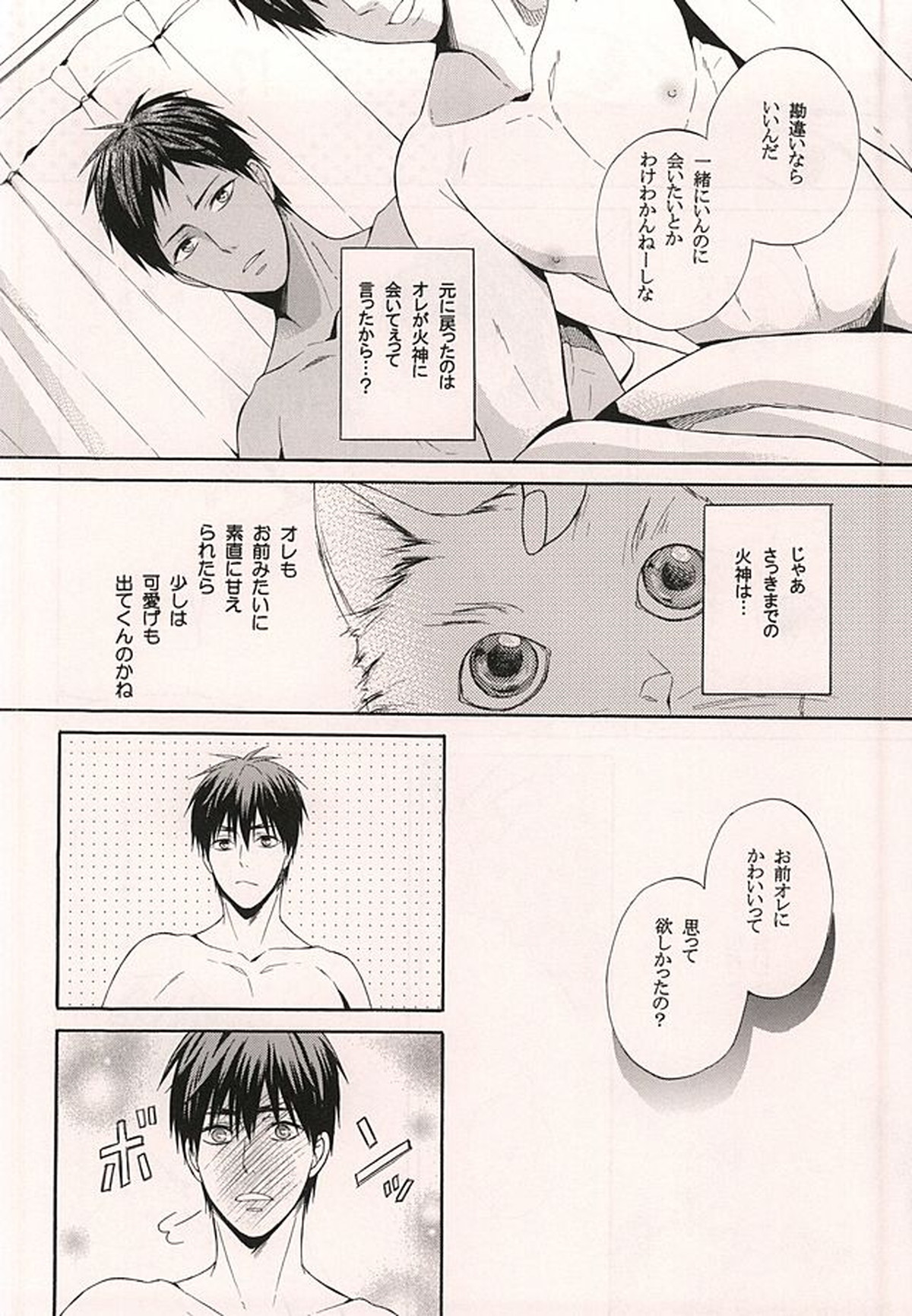 俺の火神がこんなに可愛いわけがない【黒子のバスケ/青火】 page 29