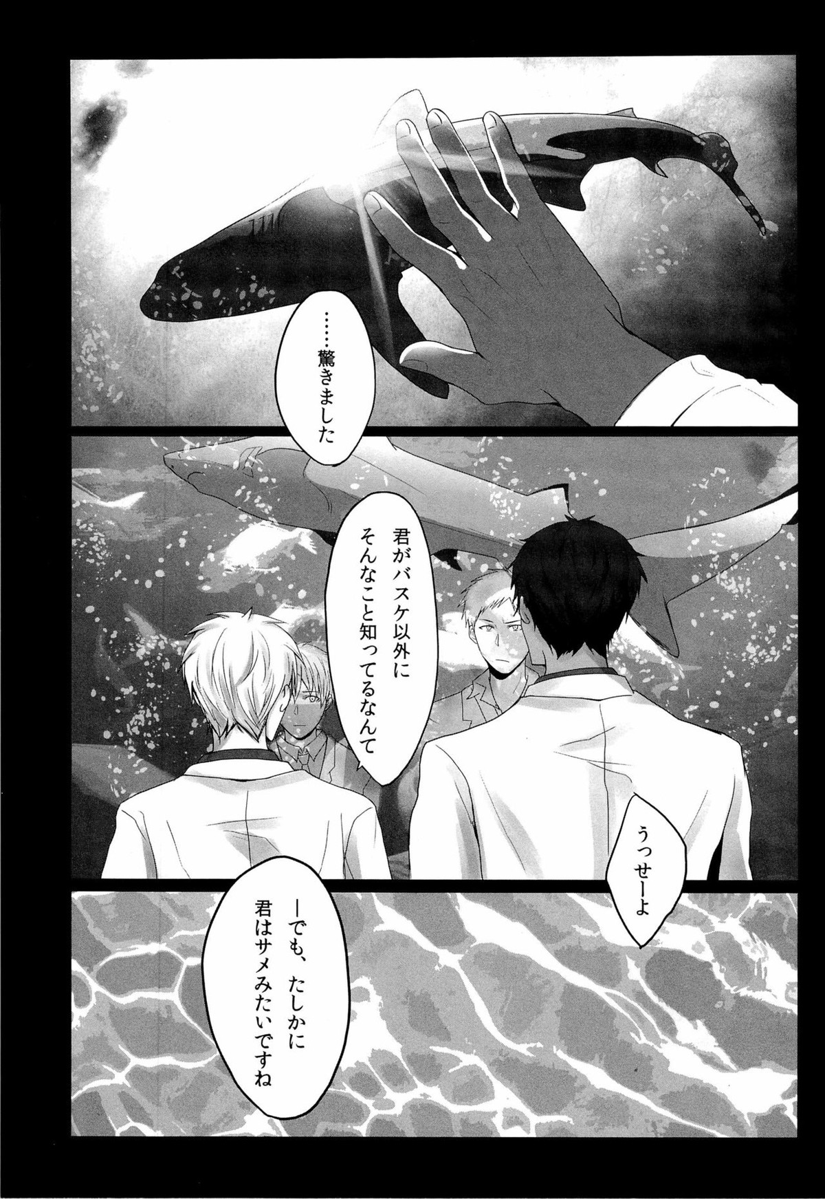 鮫～VIRGIN BITE【黒子のバスケ/青火】 page 25