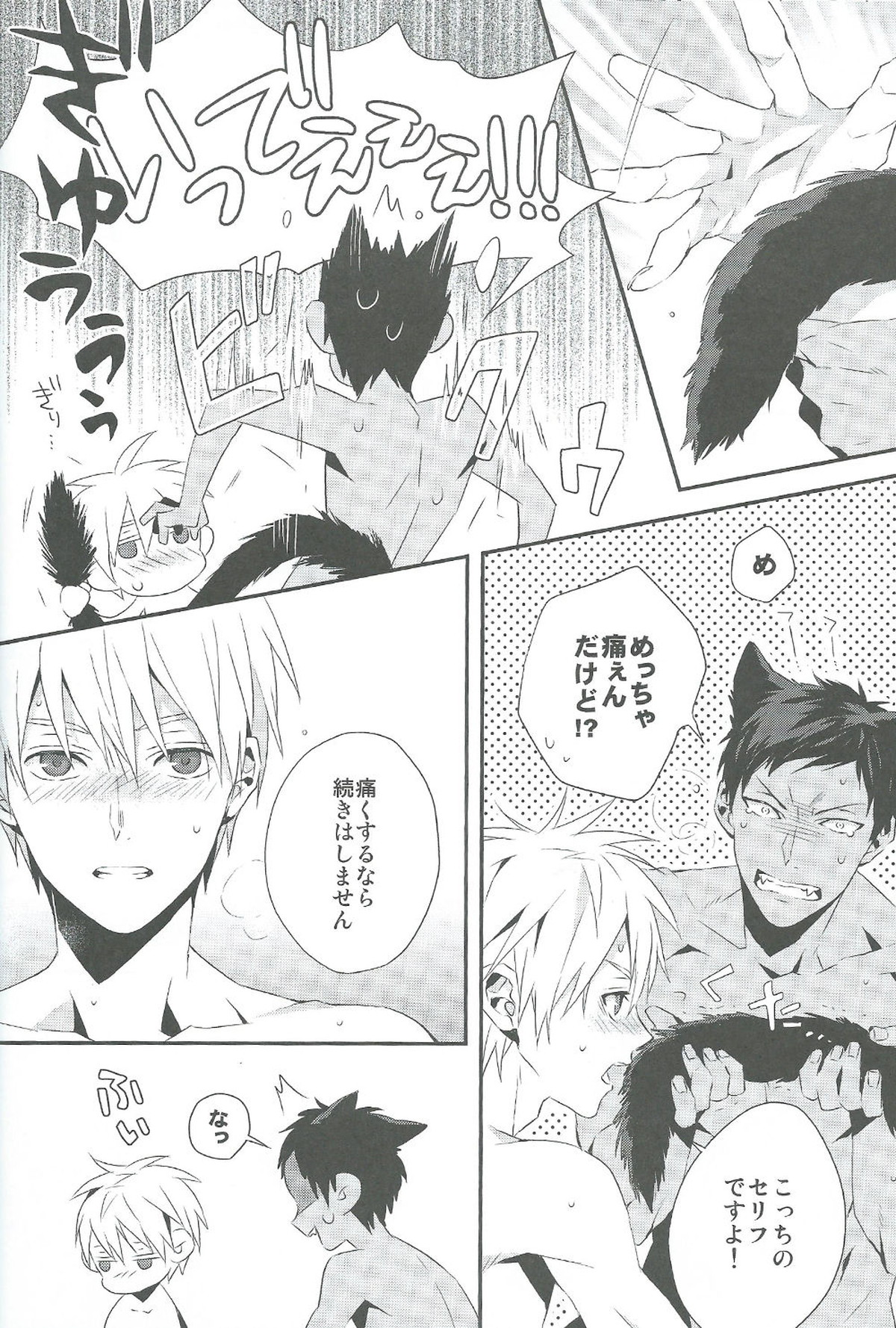 キミとネコミミ【黒子のバスケ/青黒】 page 14