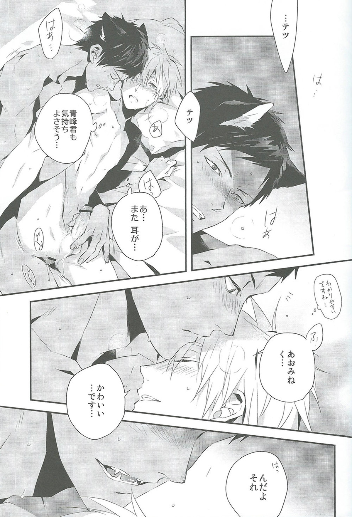 キミとネコミミ【黒子のバスケ/青黒】 page 17