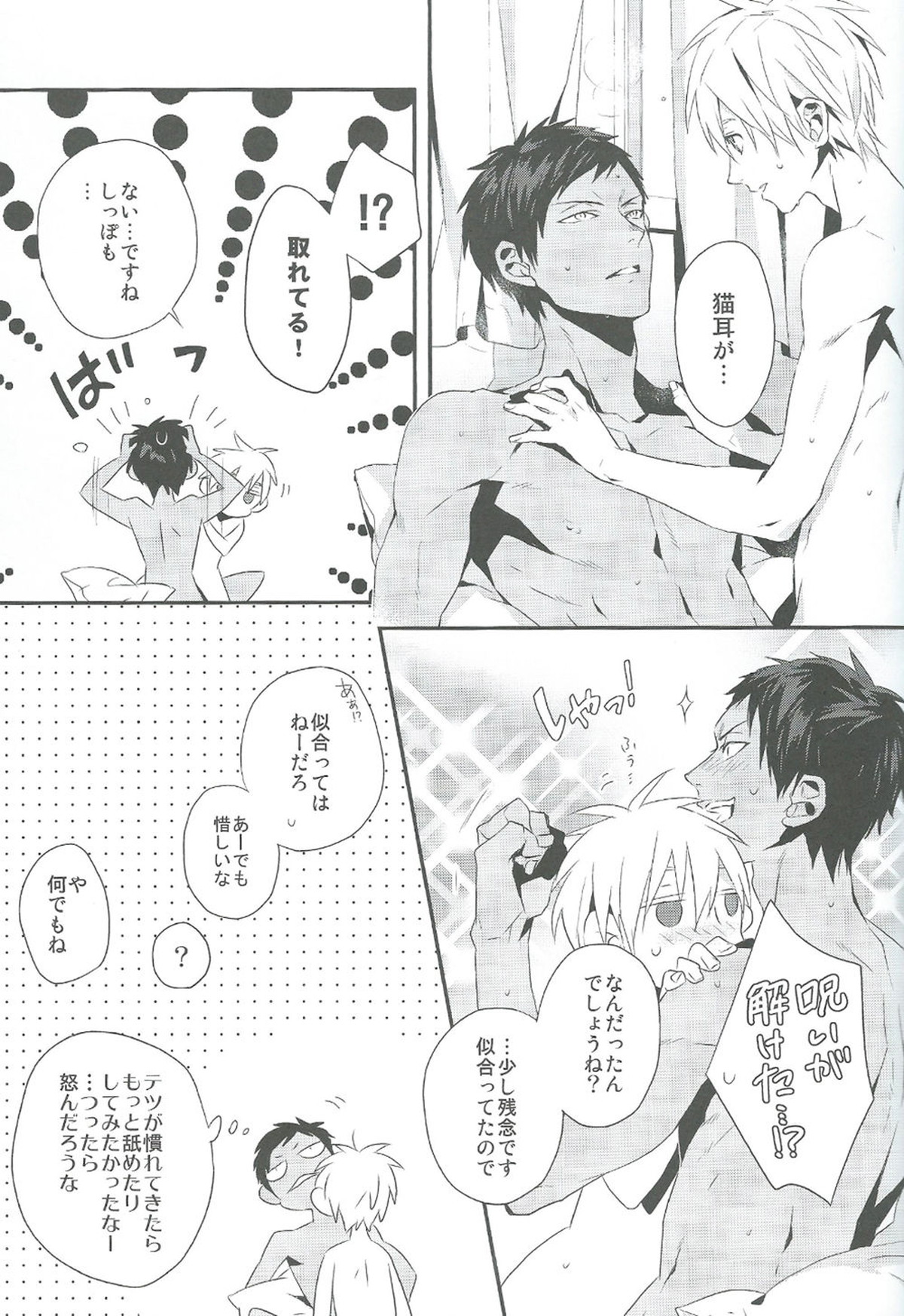 キミとネコミミ【黒子のバスケ/青黒】 page 19