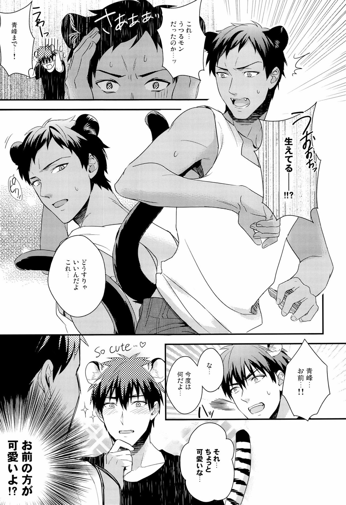 HEY! ANIMAL BOYS!!【黒子のバスケ/青火】 page 11