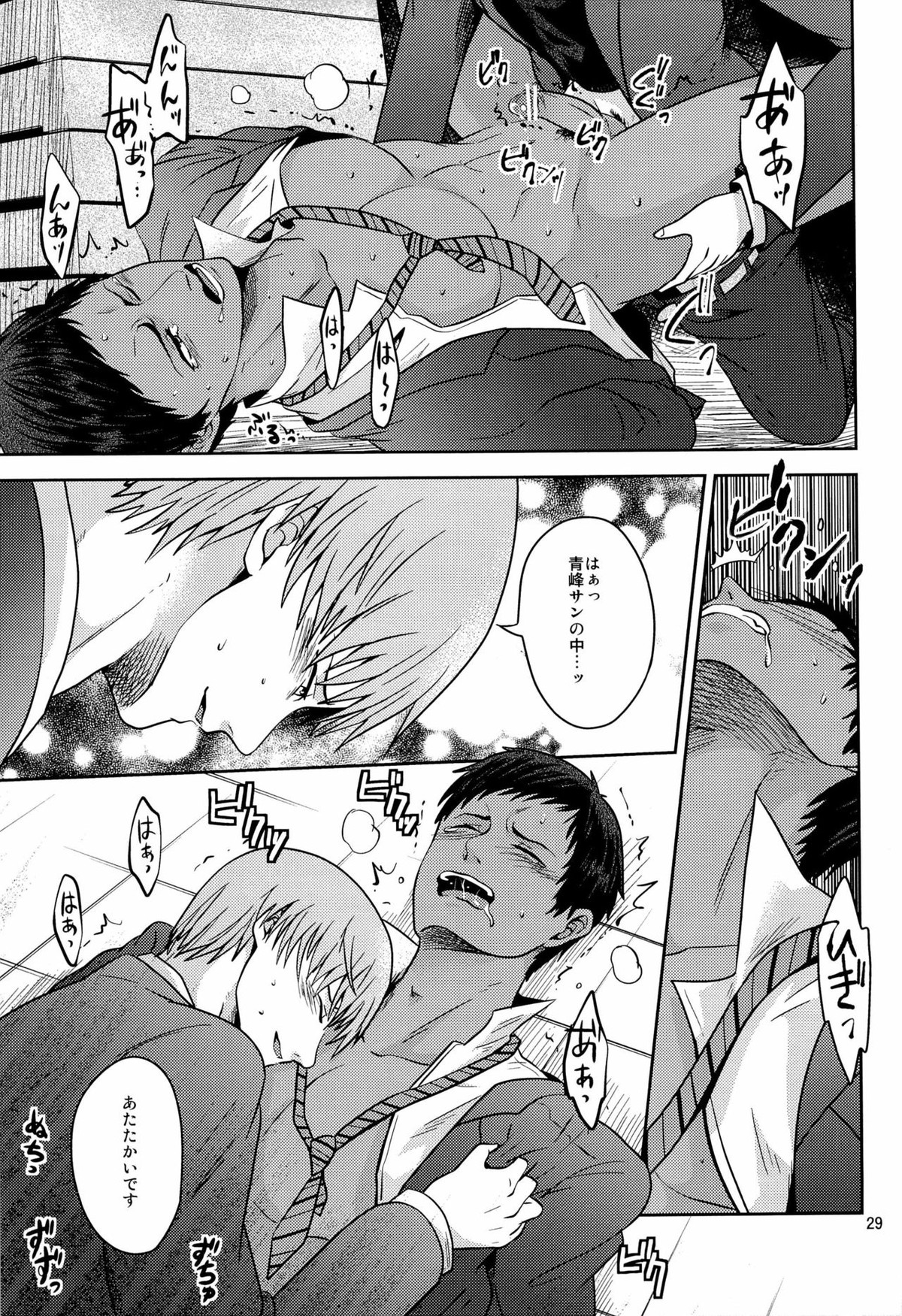 おかずです【黒子のバスケ/桜青】 page 31
