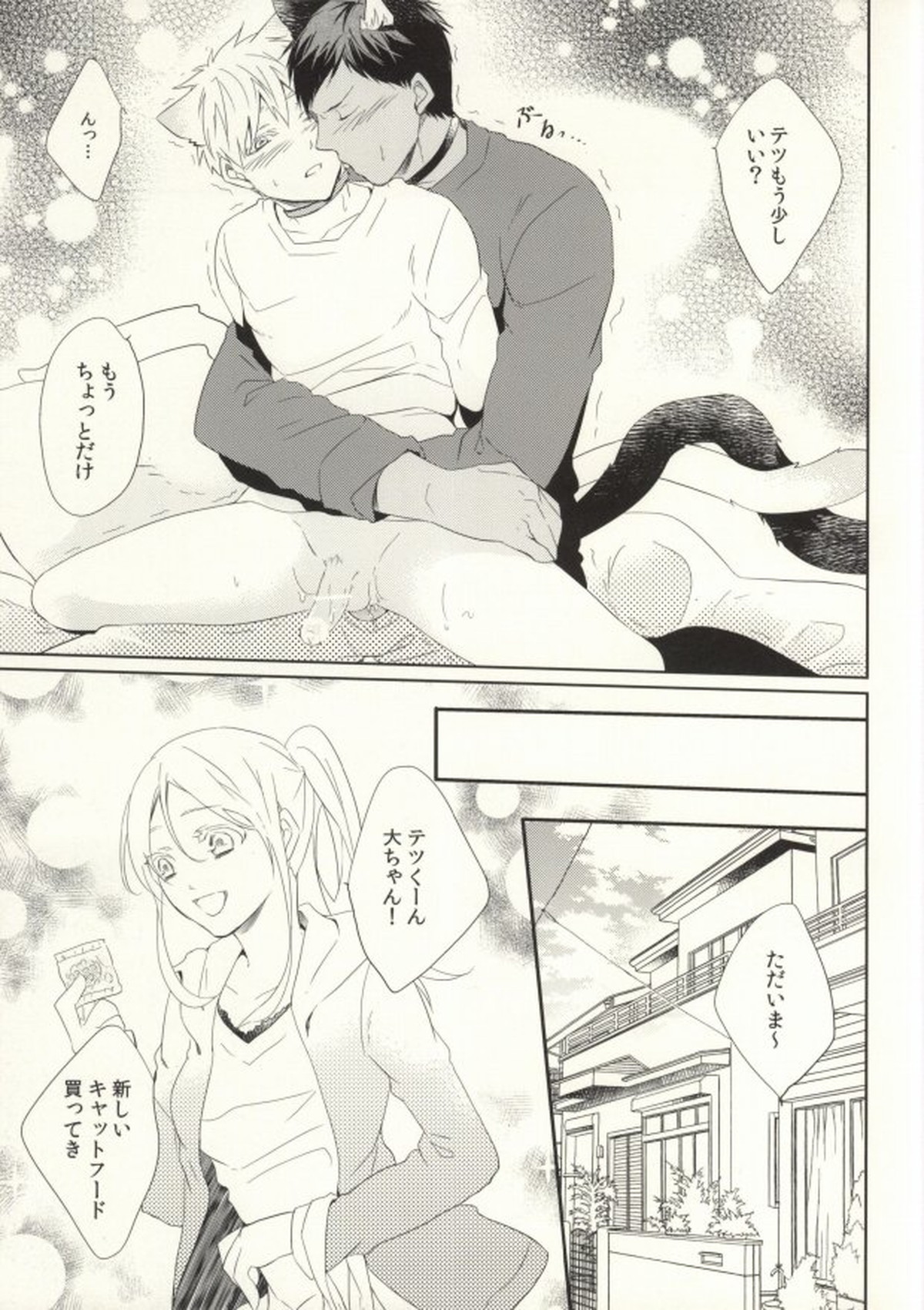 さわるなキケン発情期【黒子のバスケ/青黒】 page 15