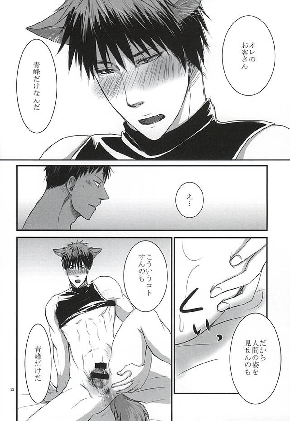 THE PET DELIVERY SERVICE 2【黒子のバスケ/青火】 page 21