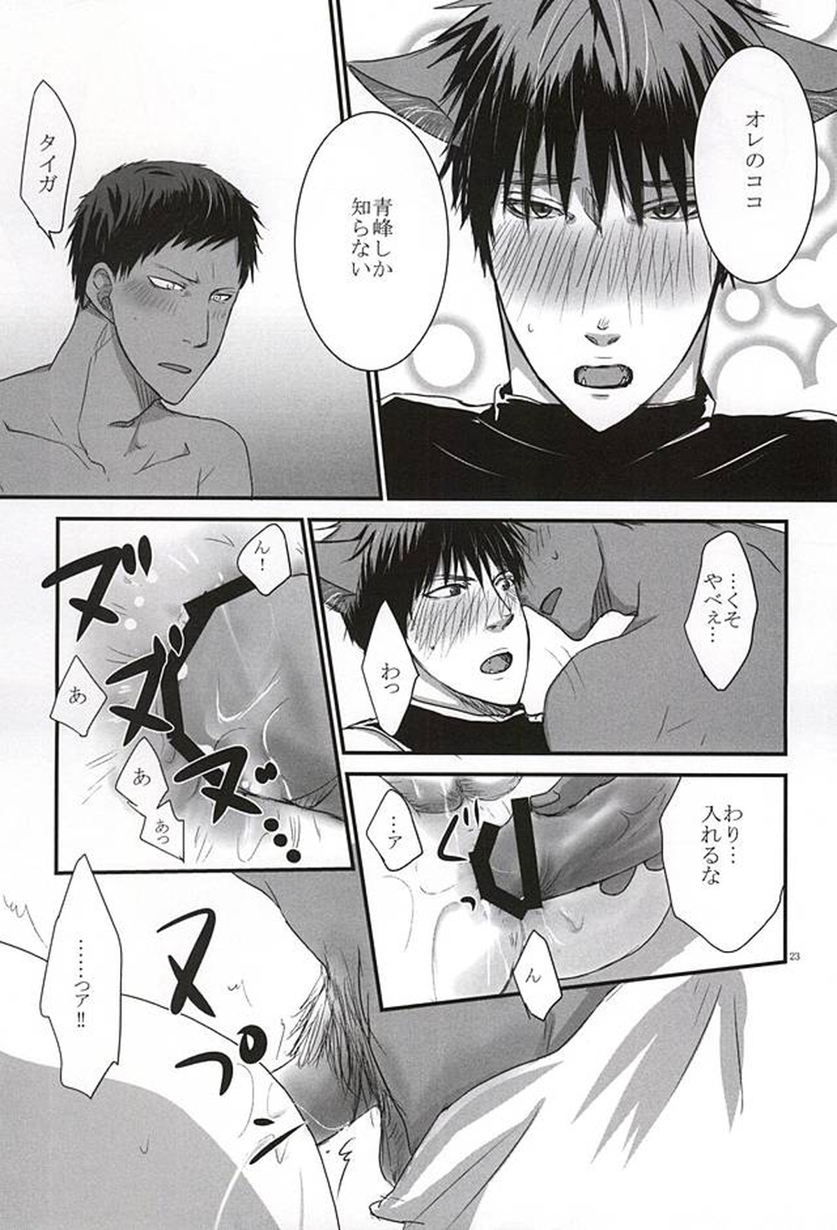THE PET DELIVERY SERVICE 2【黒子のバスケ/青火】 page 22