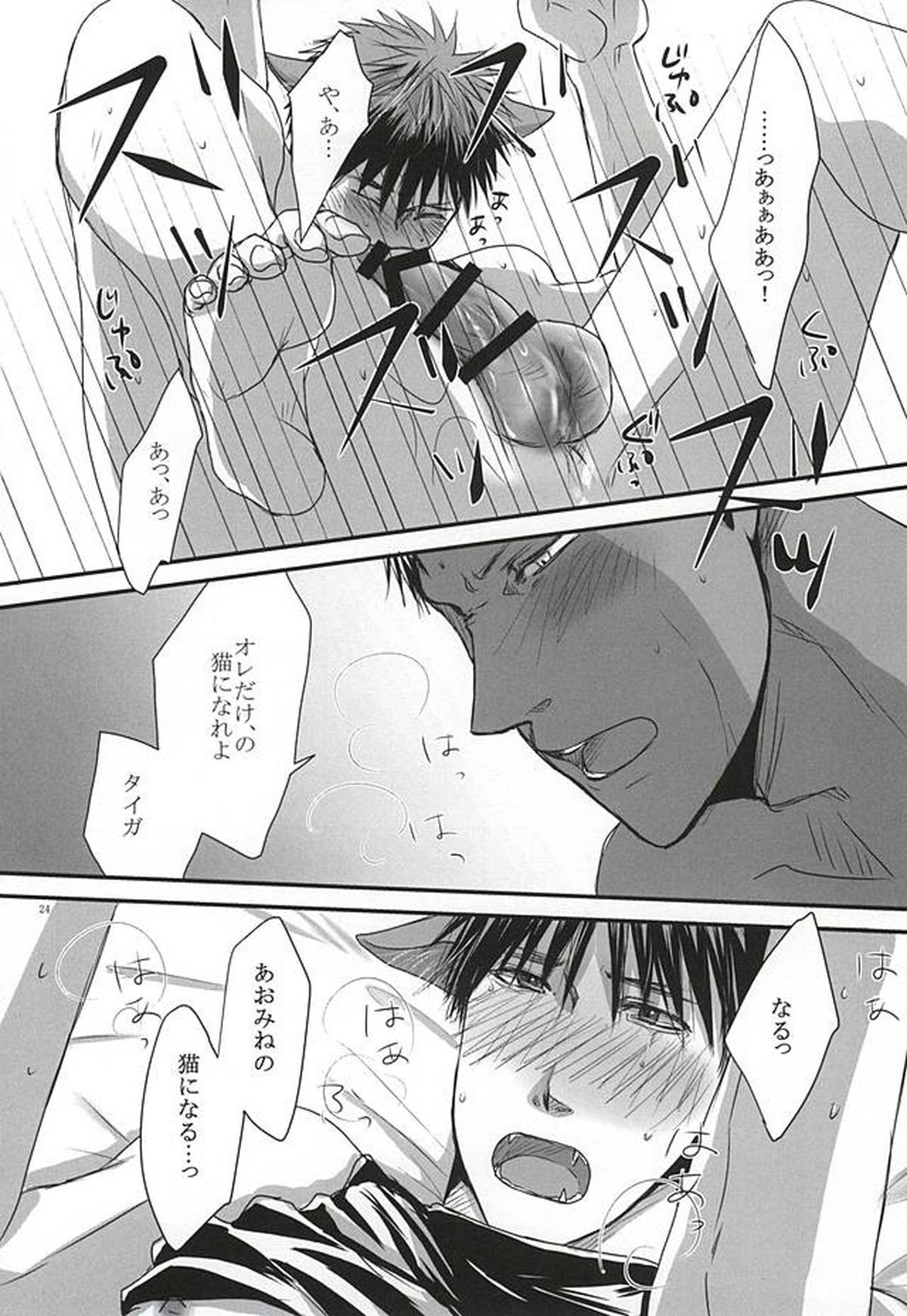 THE PET DELIVERY SERVICE 2【黒子のバスケ/青火】 page 23