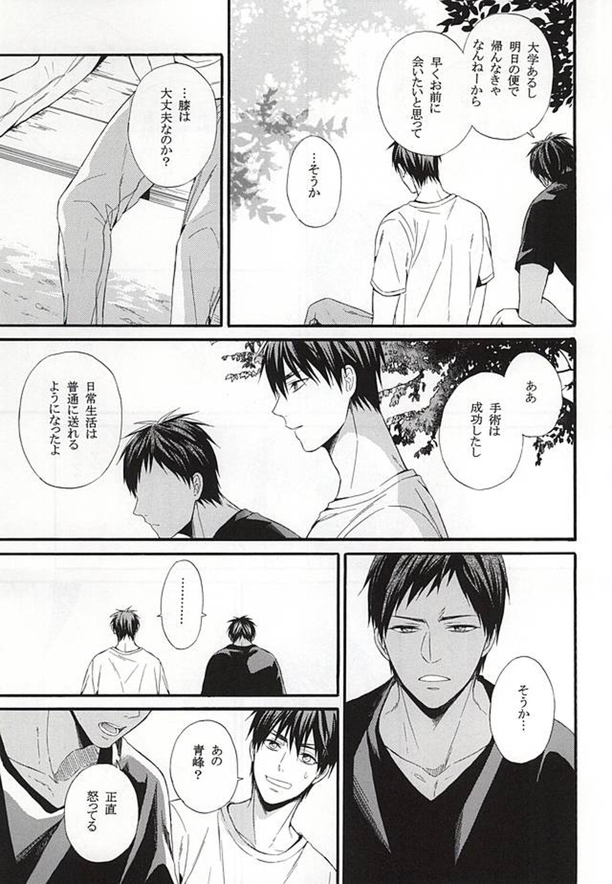 カンパニュールの憂鬱【黒子のバスケ/青火】 page 53