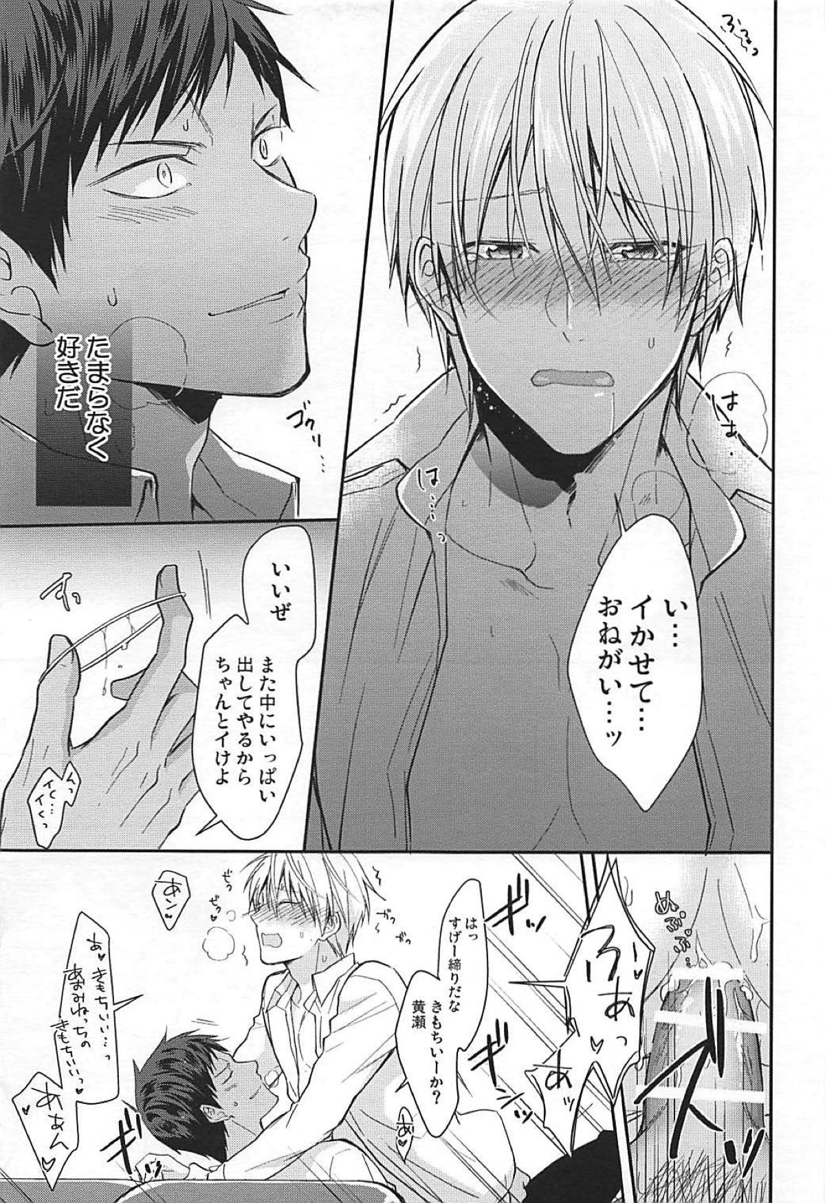 素直になれるのは 当分先【黒子のバスケ/青黄】 page 13