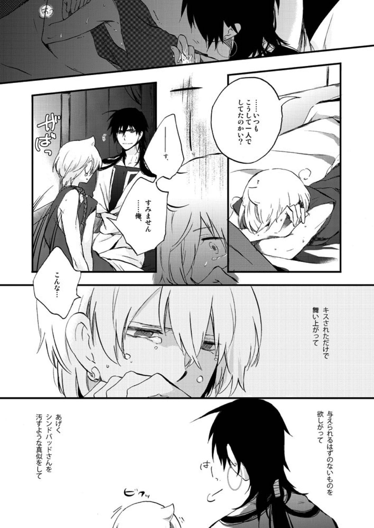 ヒエロフィリアは二度笑う【マギ/シンアリ】 page 13