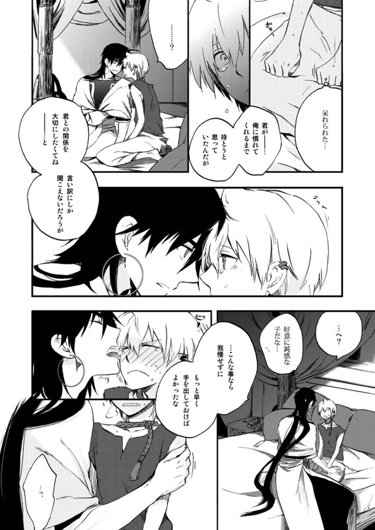 ヒエロフィリアは二度笑う【マギ/シンアリ】 page 14