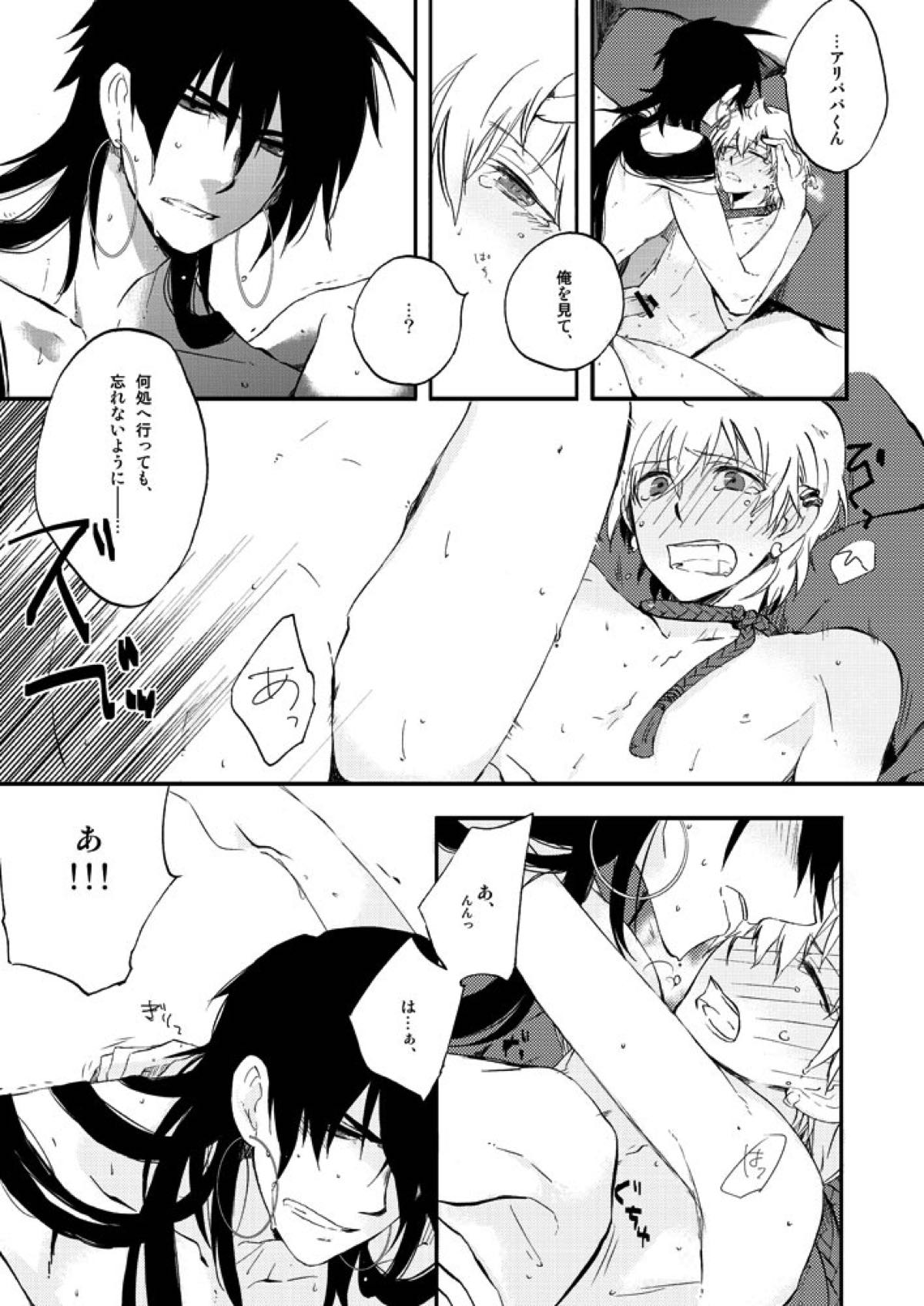 ヒエロフィリアは二度笑う【マギ/シンアリ】 page 17