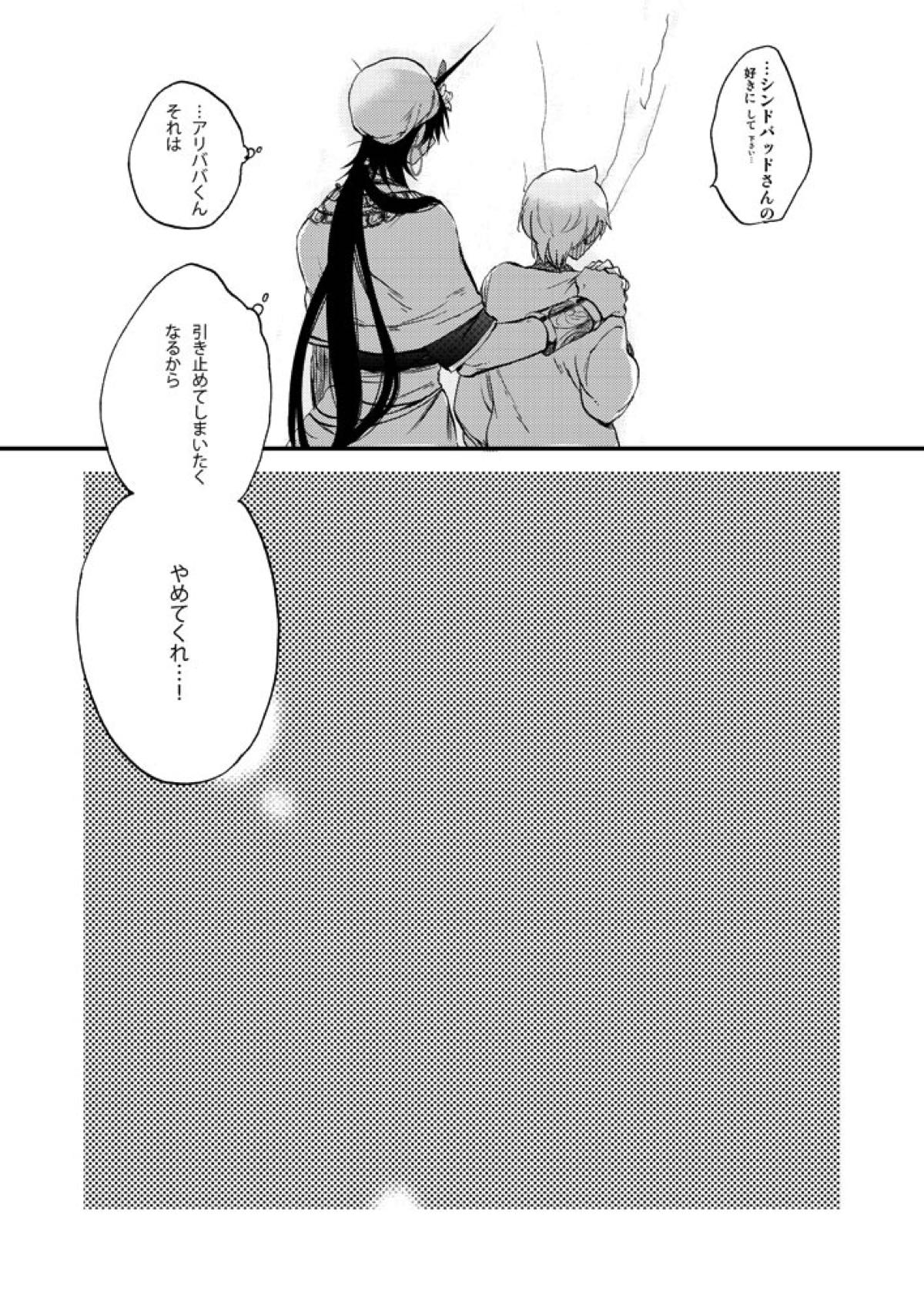 ヒエロフィリアは二度笑う【マギ/シンアリ】 page 20