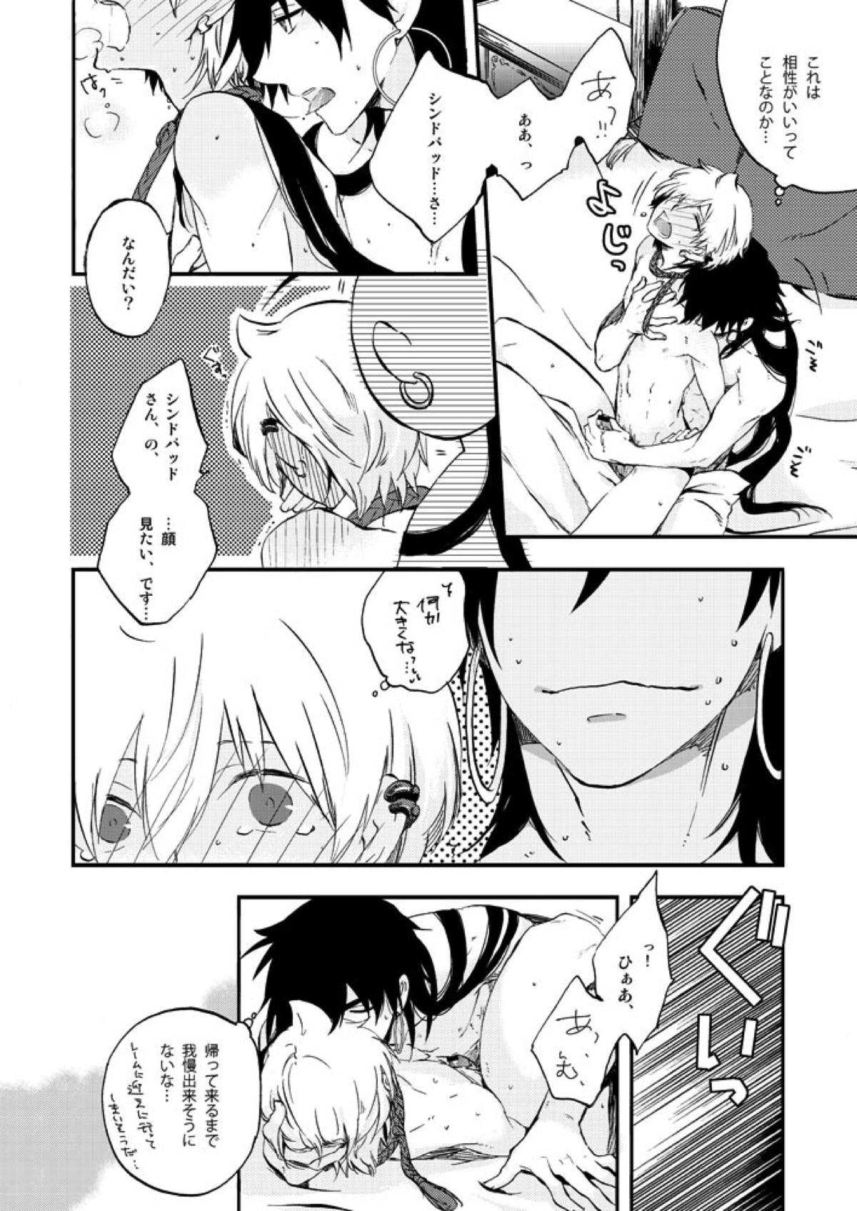 ヒエロフィリアは二度笑う【マギ/シンアリ】 page 22