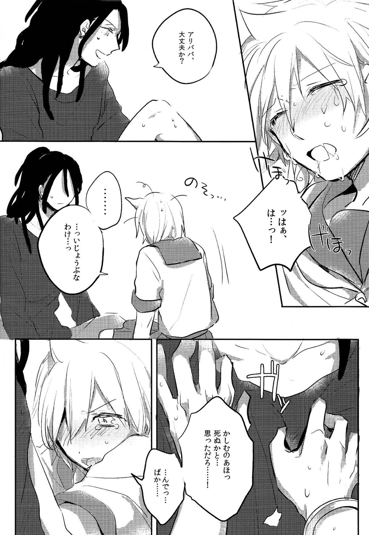 ひみつのふたりあそび【マギ/カシアリ】 page 14