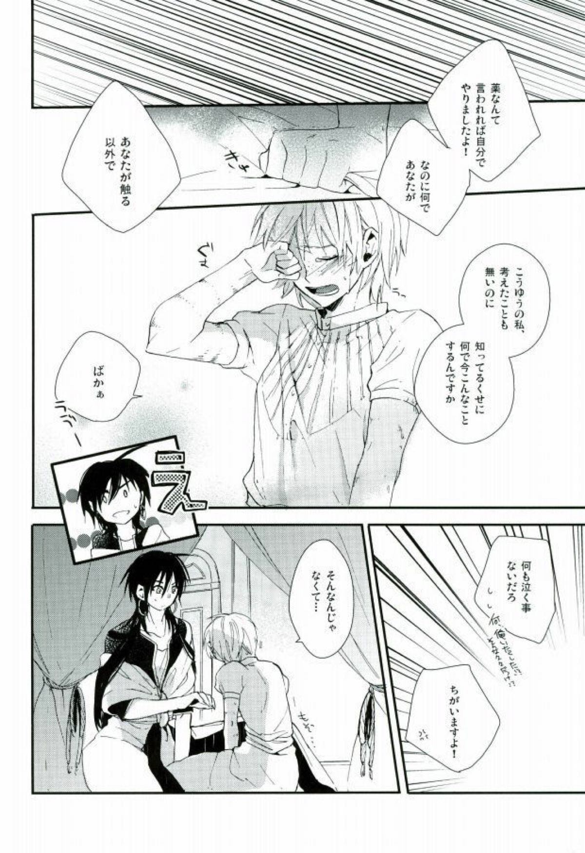 俺の政務官がこんなに可愛いんだから仕方ない！【マギ/シンジャ】 page 27