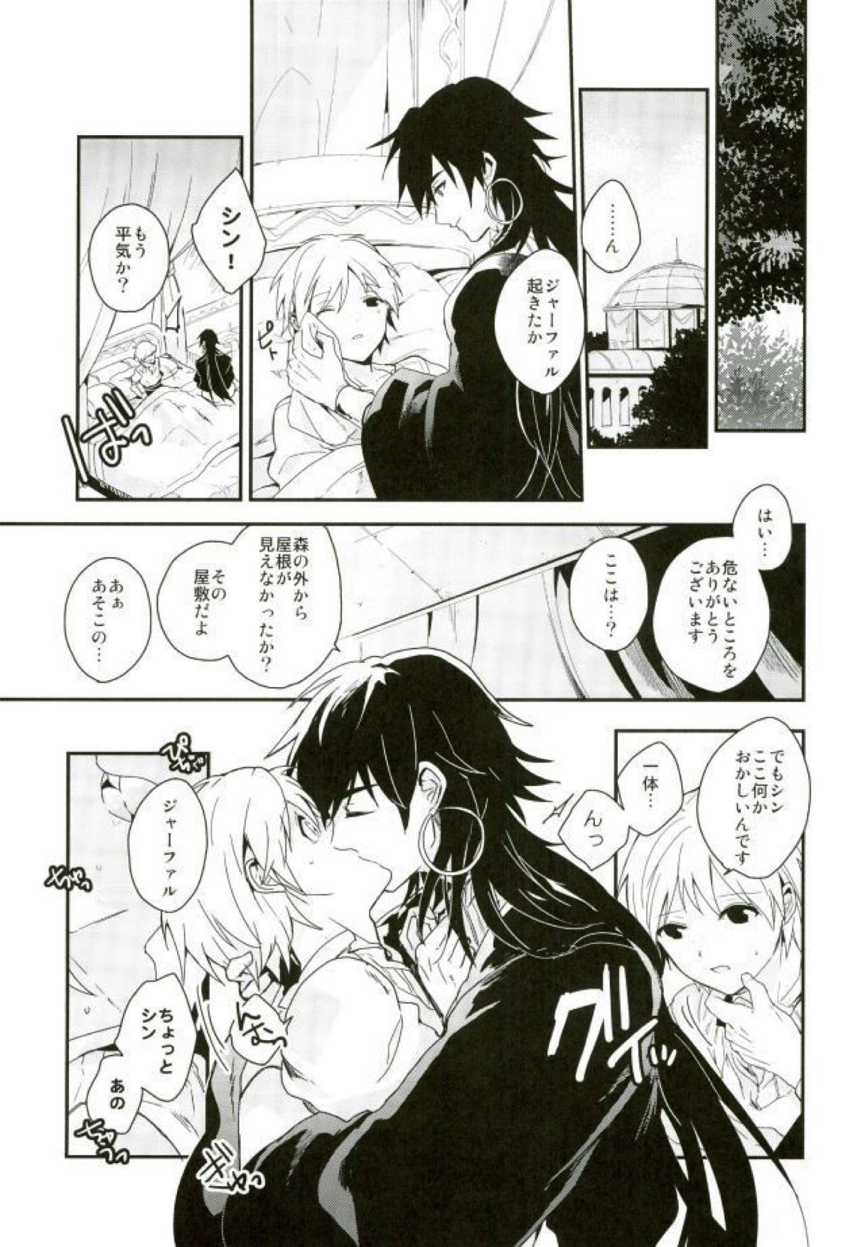 悪夢の国のジャーファル【マギ/シンジャ】 page 13