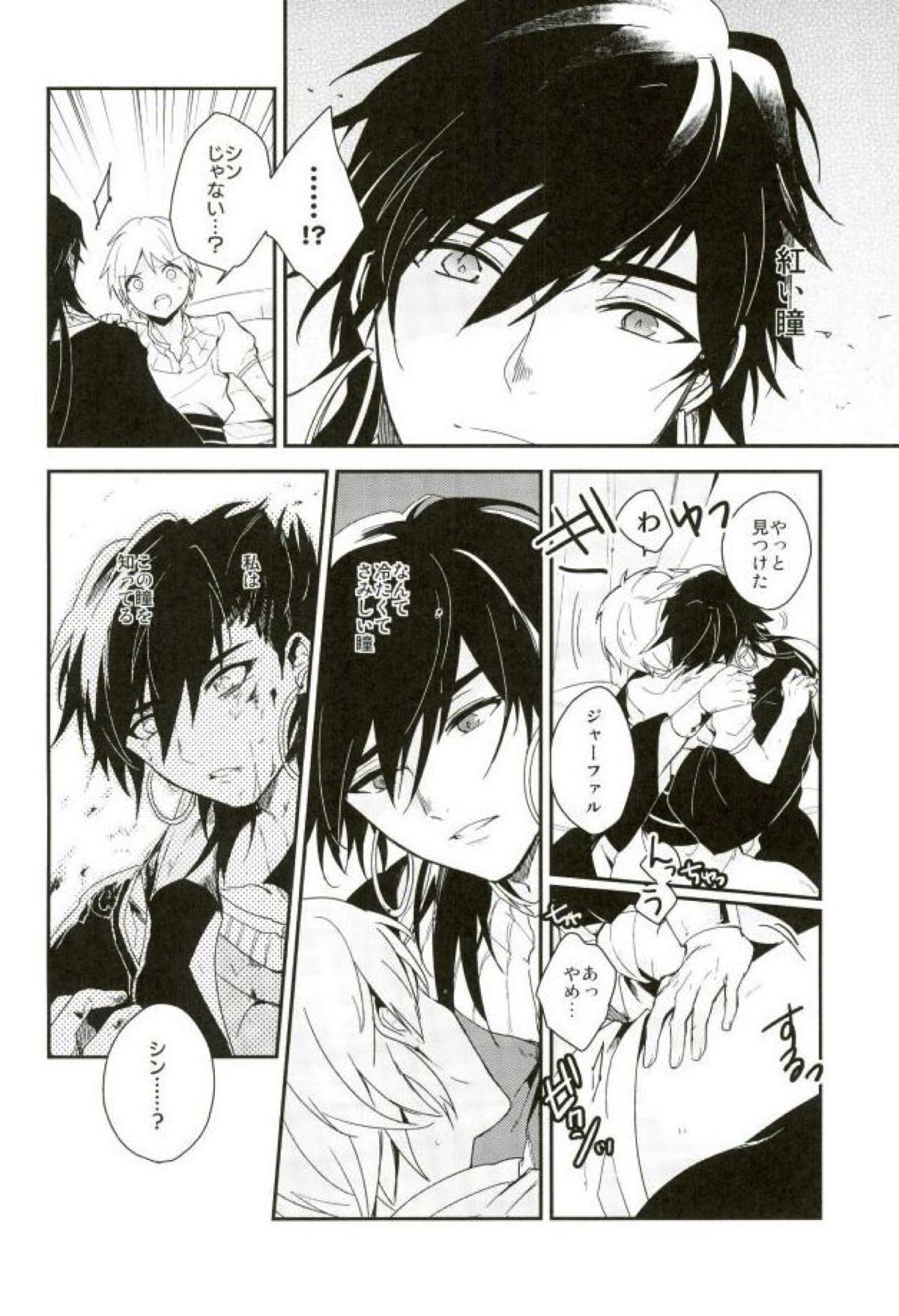 悪夢の国のジャーファル【マギ/シンジャ】 page 14
