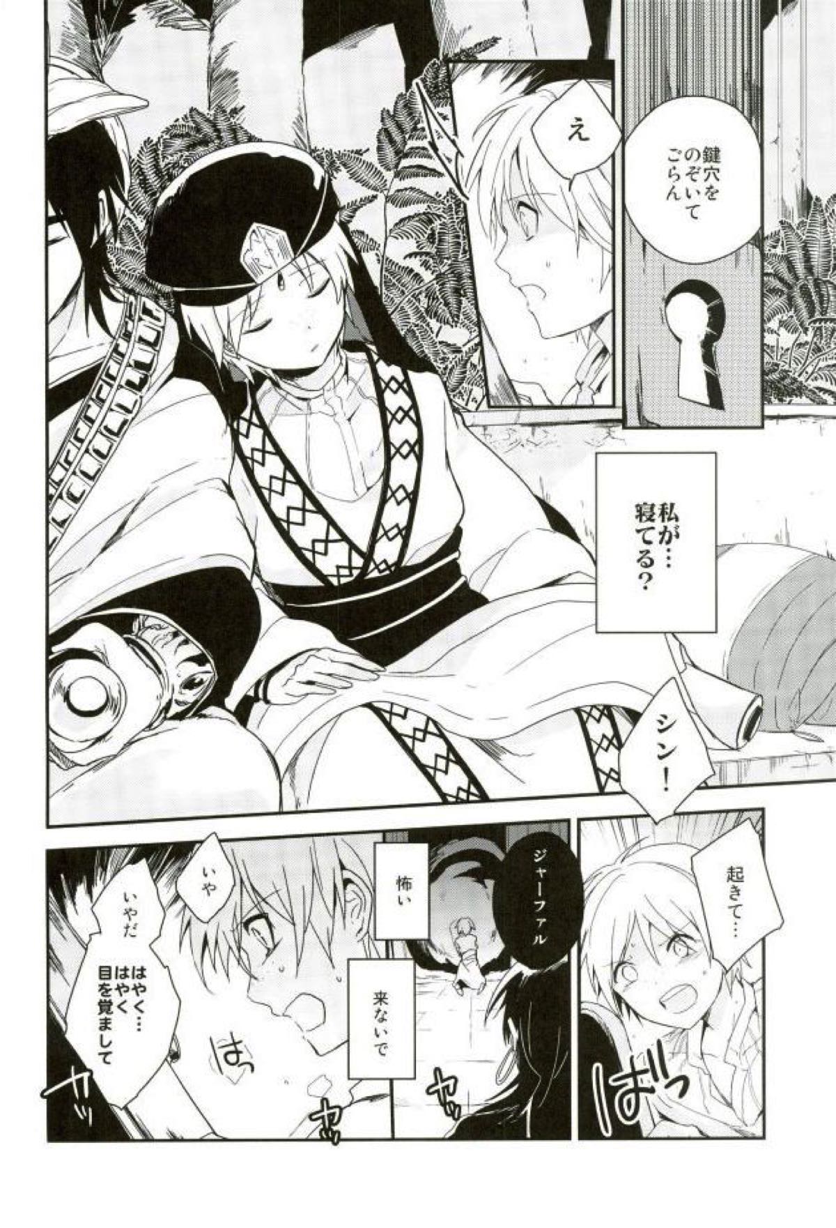 悪夢の国のジャーファル【マギ/シンジャ】 page 24