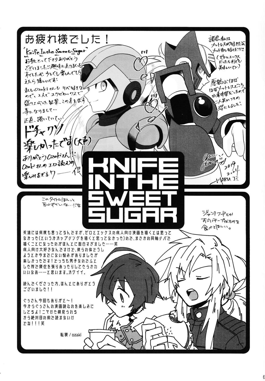 KNIFE IN THE SWEET SUGAR【ロックマンX/ゼロ×エックス】 page 62