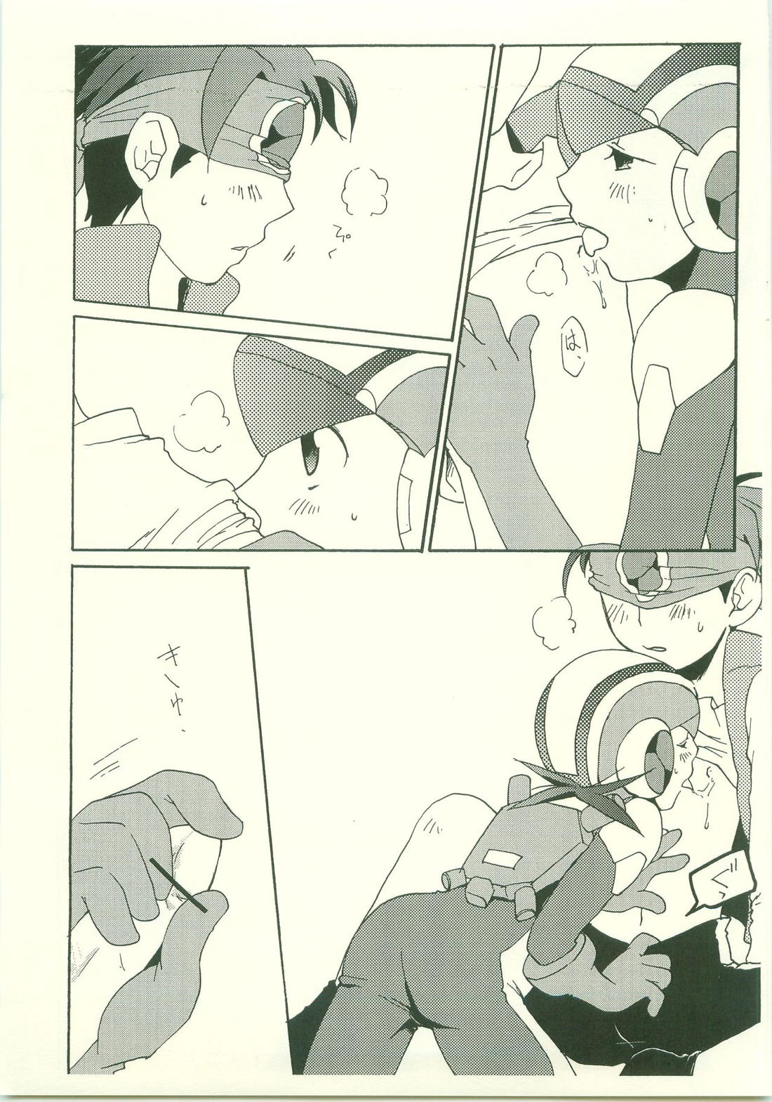 大好き。だから、【ロックマンエグゼ/熱ロク】 page 12