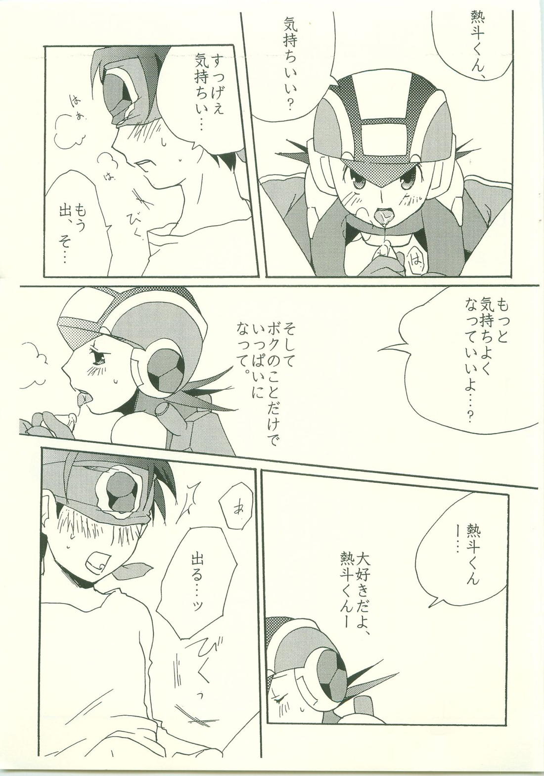 大好き。だから、【ロックマンエグゼ/熱ロク】 page 14