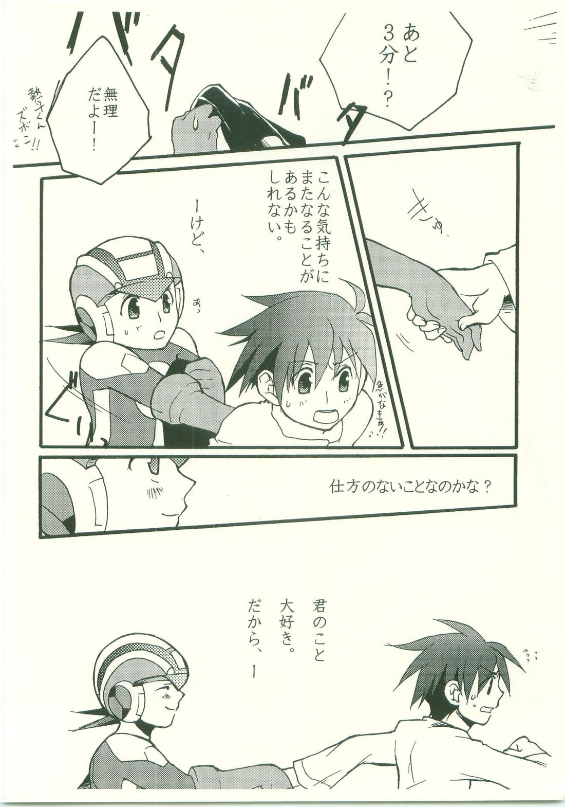 大好き。だから、【ロックマンエグゼ/熱ロク】 page 29