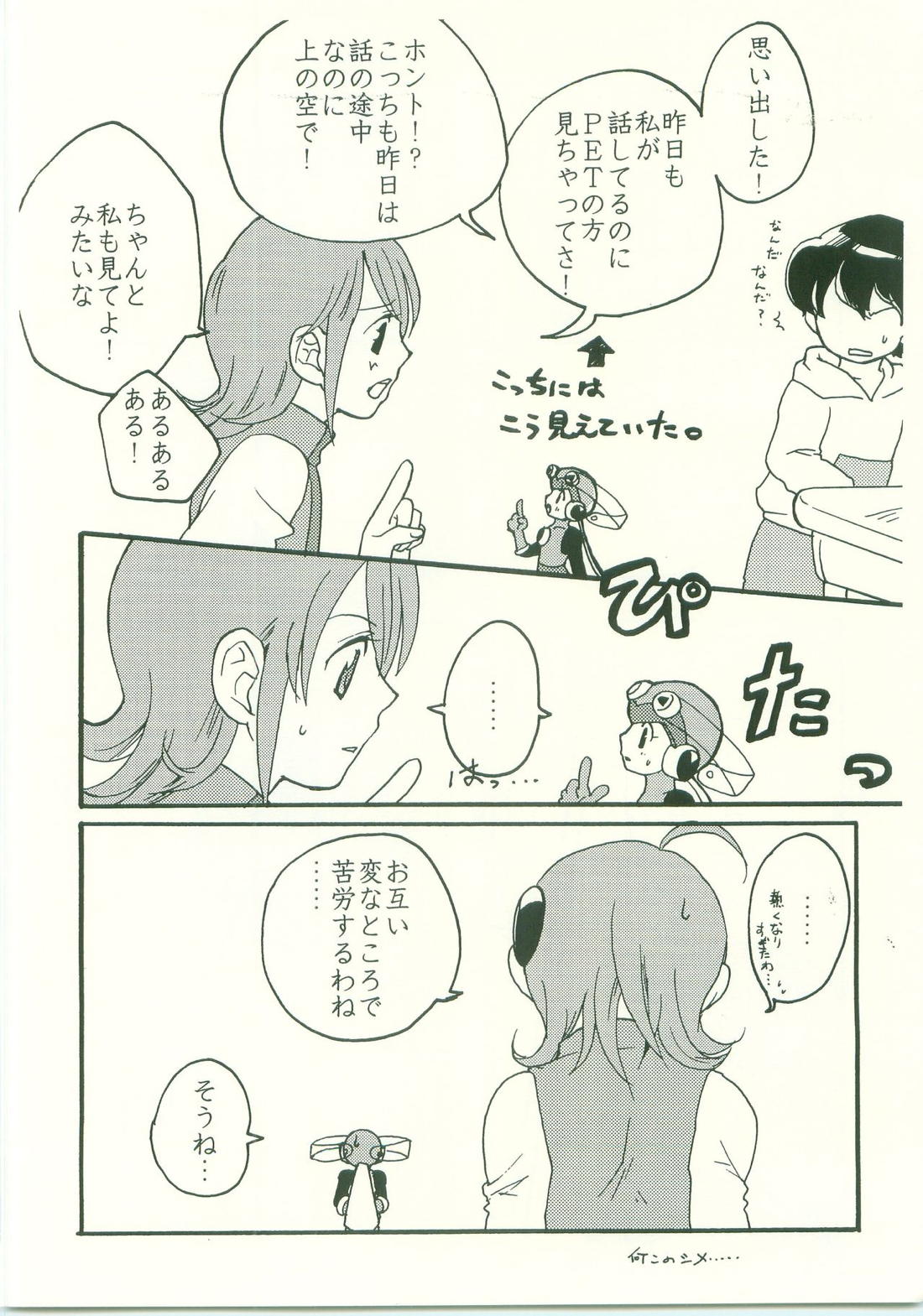 大好き。だから、【ロックマンエグゼ/熱ロク】 page 31