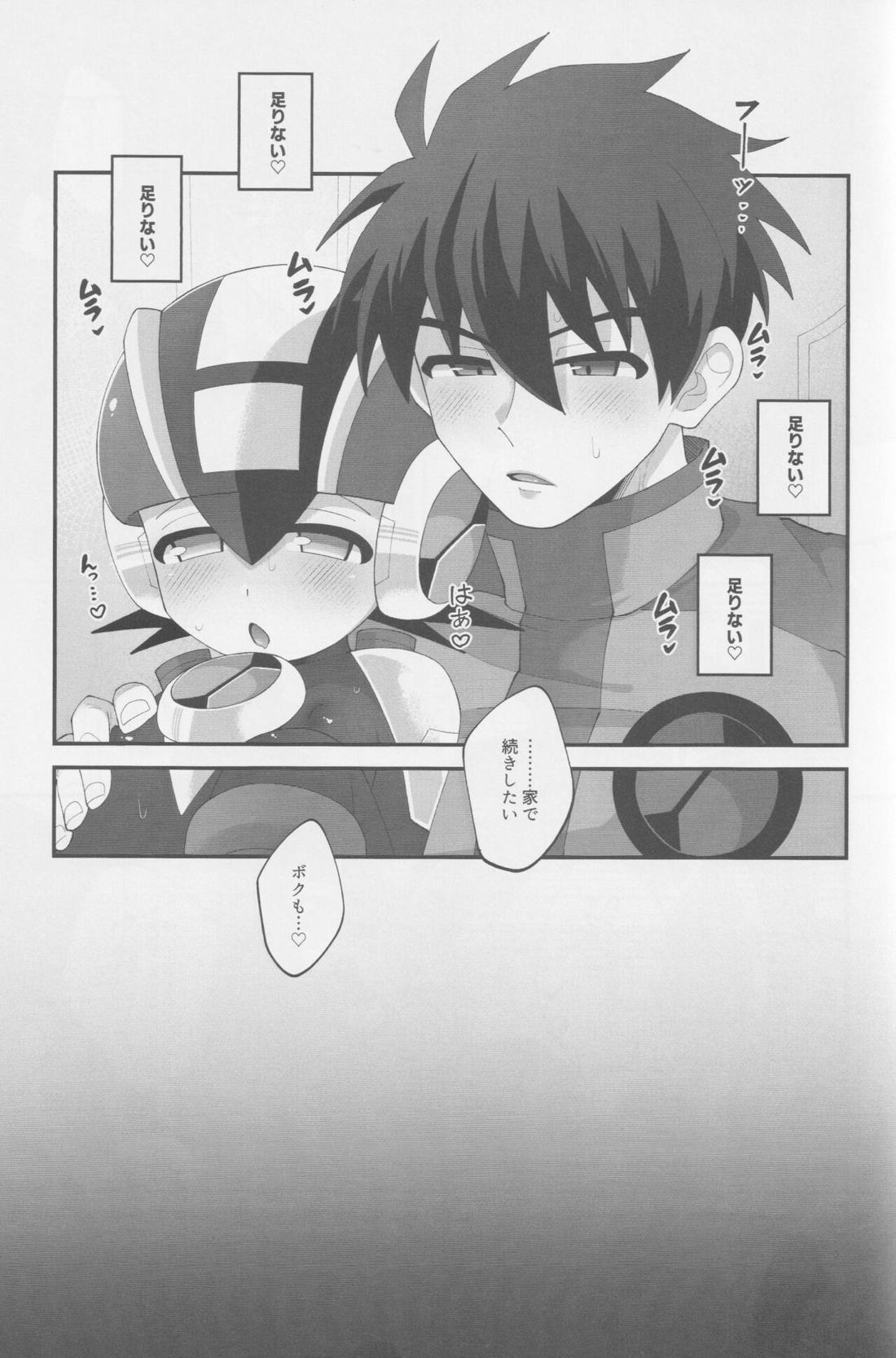 Limonium【ロックマンエグゼ/熱ロク】 page 12