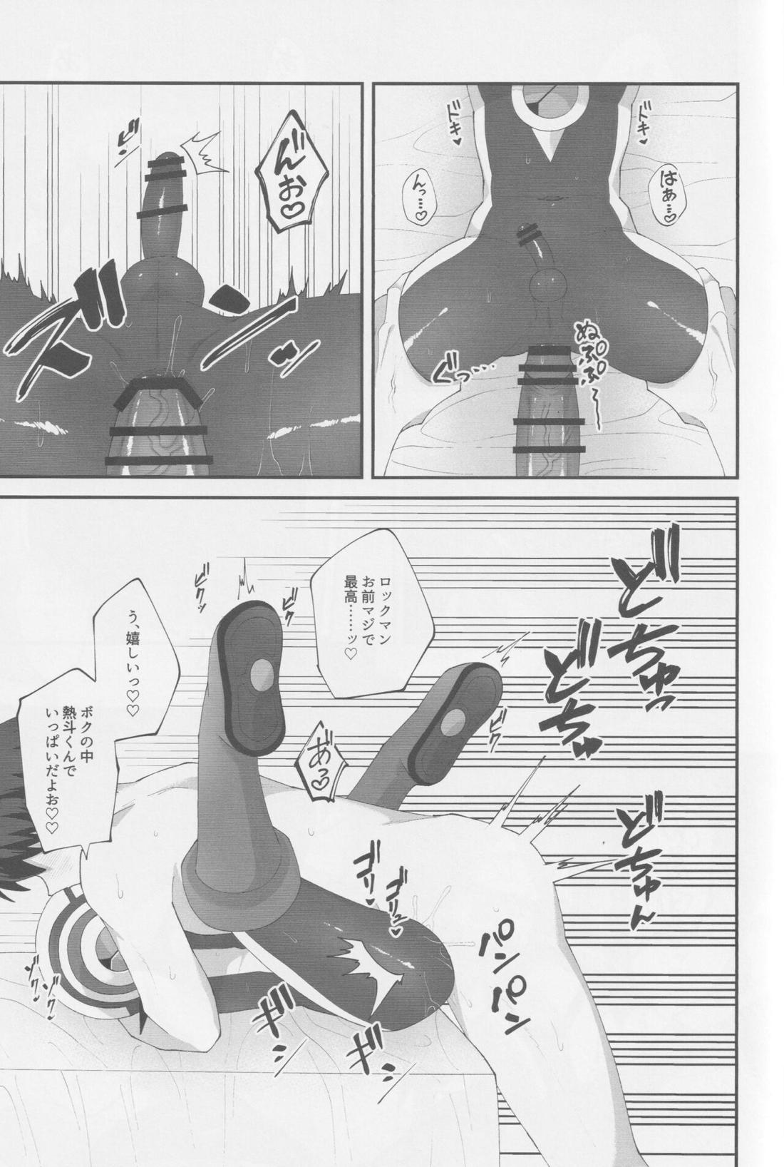 Limonium【ロックマンエグゼ/熱ロク】 page 14