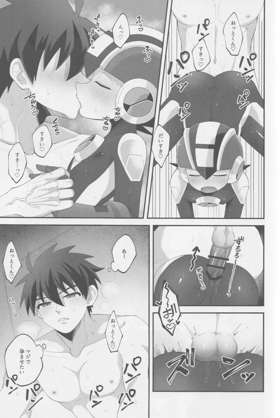 Limonium【ロックマンエグゼ/熱ロク】 page 20