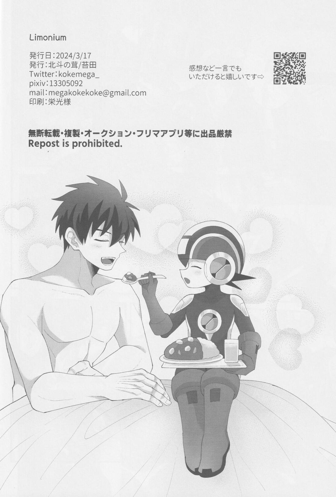 Limonium【ロックマンエグゼ/熱ロク】 page 23