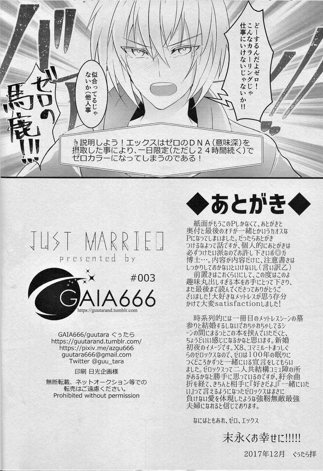 JUST MARRIED【ロックマンX/ゼロ×エックス】 page 17