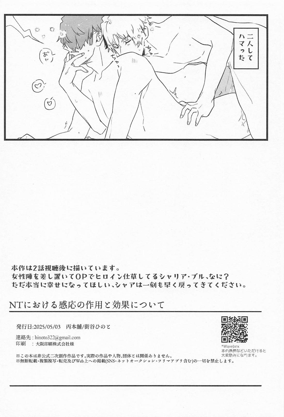 NTにおける感応の作用と効果について【機動戦士Gundam GQuuuuuuX/シャアシャリ】 page 21