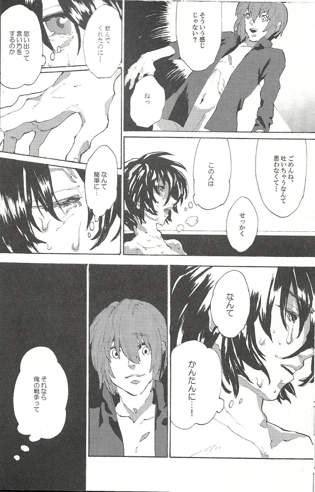 レーゲン【機動戦士ガンダムSEED DESTINY/キラシン】 page 19