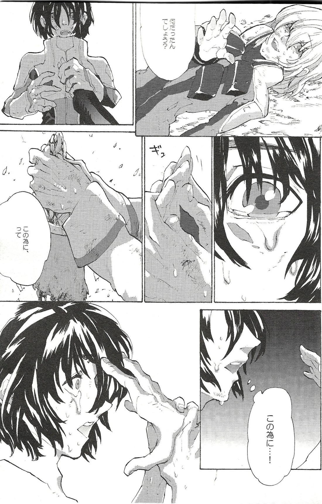 レーゲン【機動戦士ガンダムSEED DESTINY/キラシン】 page 20