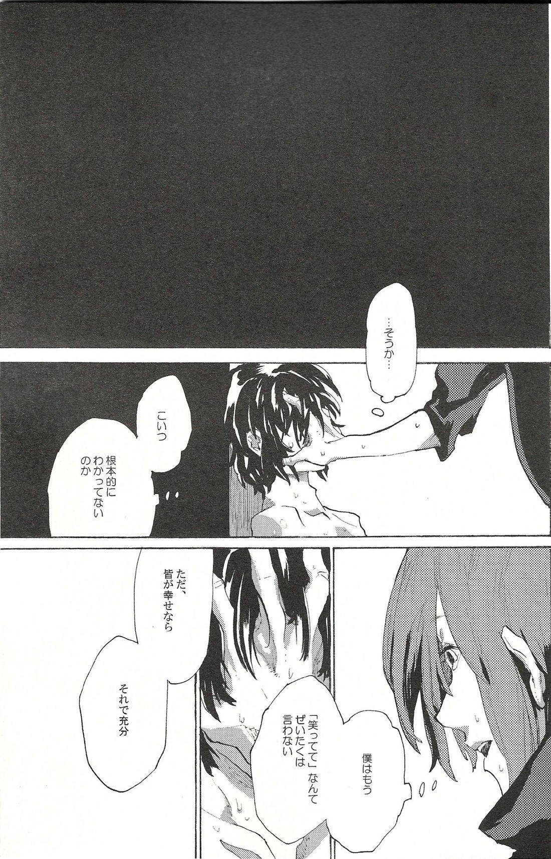 レーゲン【機動戦士ガンダムSEED DESTINY/キラシン】 page 22