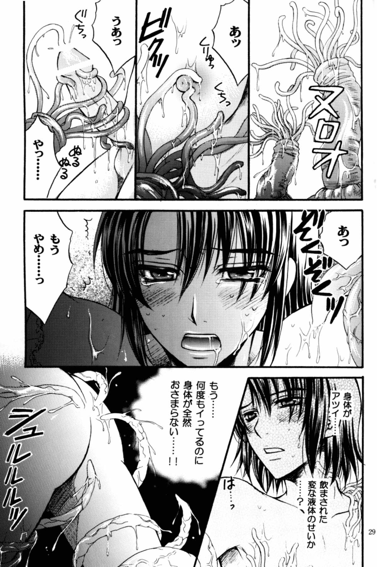 縛アスラン。〜宇宙からの侵略者！？ アスラン触手地獄！！〜【機動戦士ガンダムSEED DESTINY/触手×アスラン】 page 28
